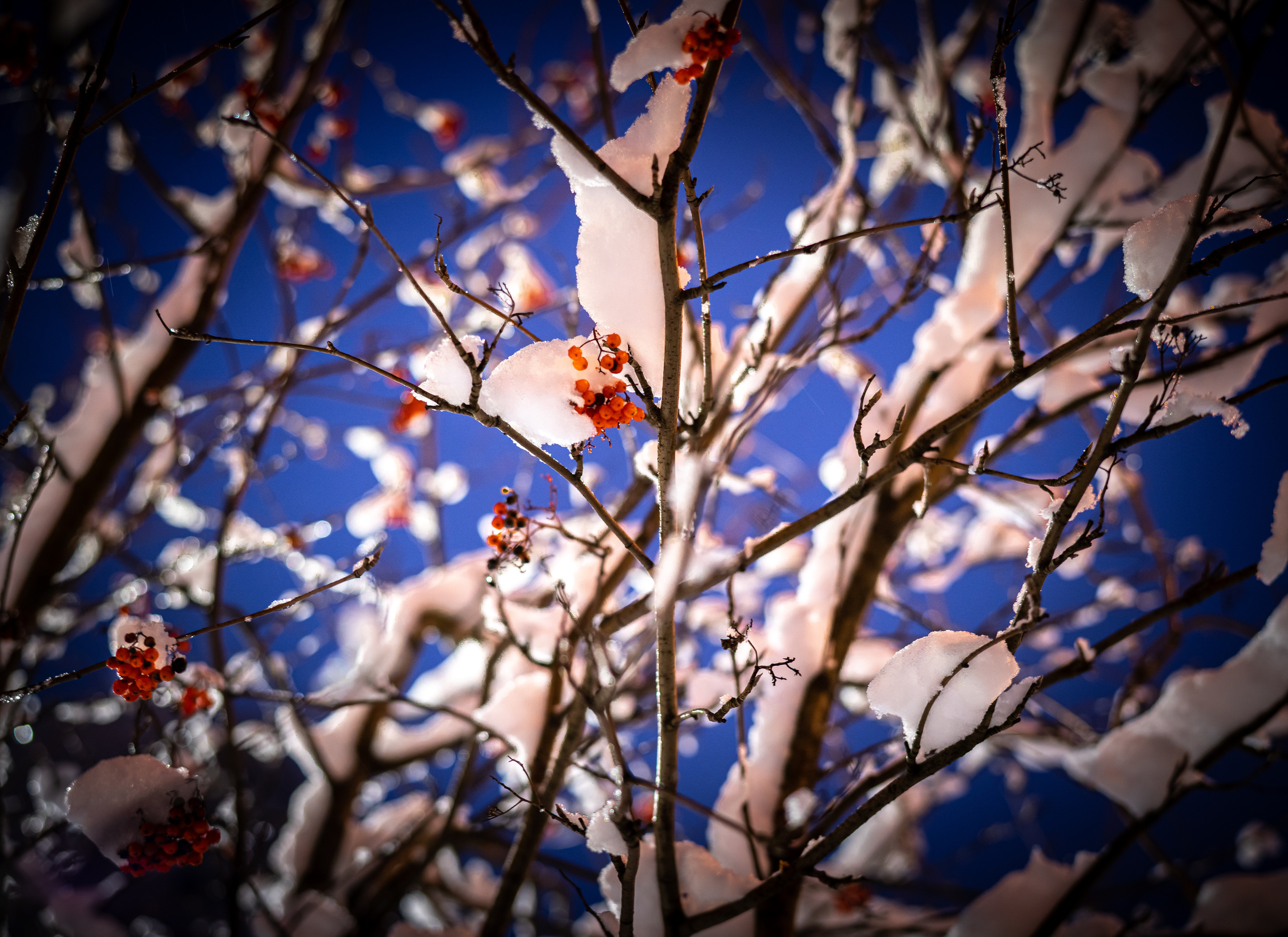 ПЕРЕДЕЛКИНО. ПОБУДЬ ЗДЕСЬ И ЦЕЛЕЕ БУДЕТ ЭТОТ МИР