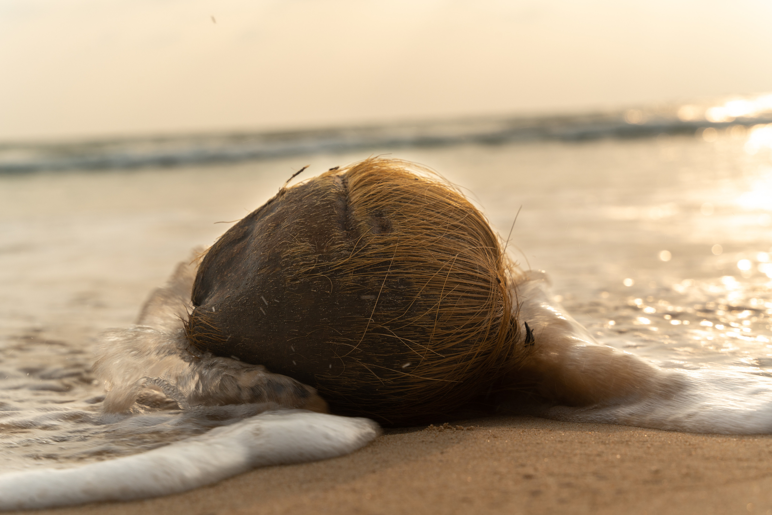 Шри-Ланка. ПОБУДЬ ЗДЕСЬ И ЦЕЛЕЕ БУДЕТ ЭТОТ МИР