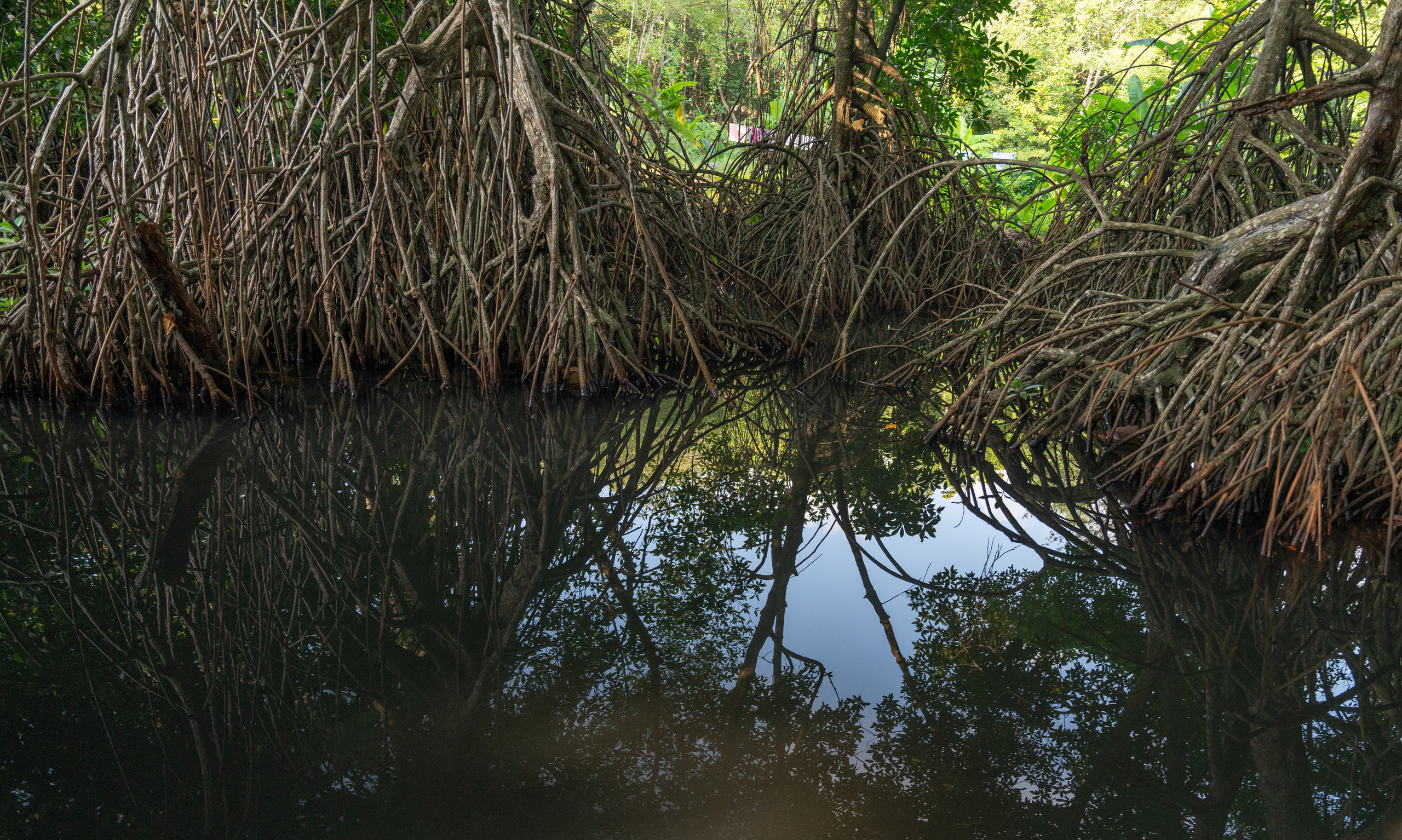 Шри-Ланка. ПОБУДЬ ЗДЕСЬ И ЦЕЛЕЕ БУДЕТ ЭТОТ МИР