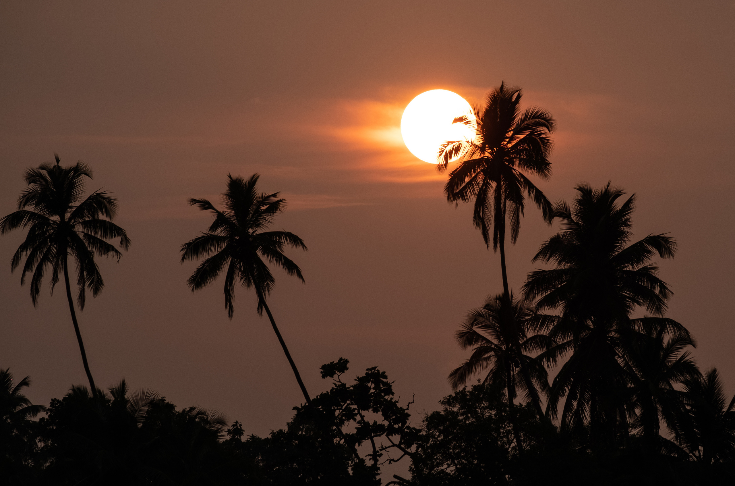 Шри-Ланка. ПОБУДЬ ЗДЕСЬ И ЦЕЛЕЕ БУДЕТ ЭТОТ МИР