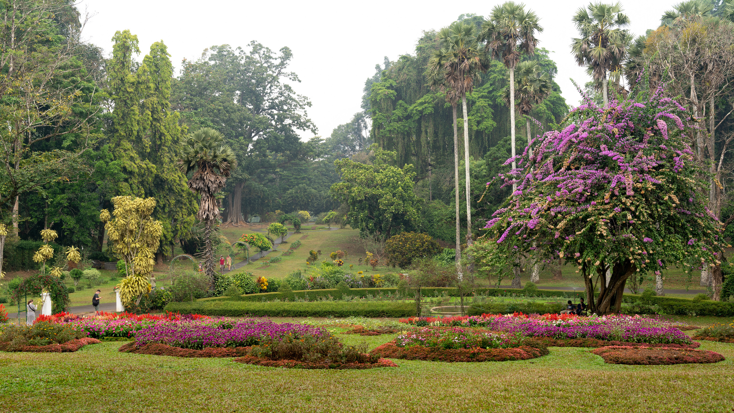 Шри-Ланка. ПОБУДЬ ЗДЕСЬ И ЦЕЛЕЕ БУДЕТ ЭТОТ МИР