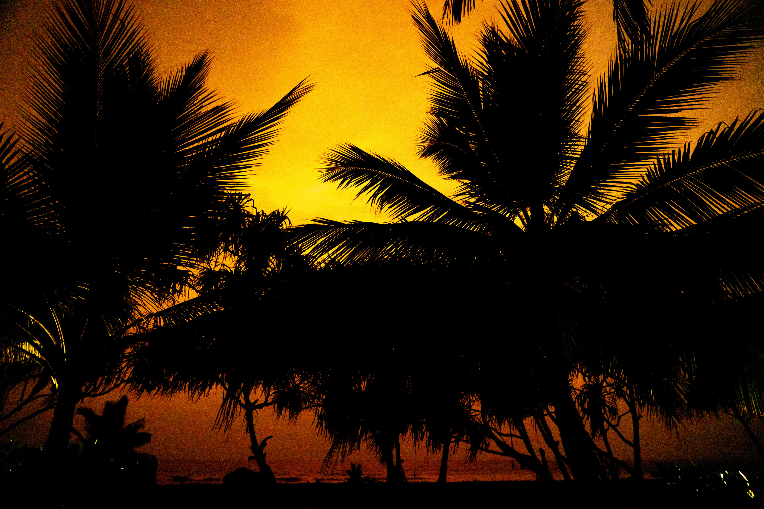 Шри-Ланка. ПОБУДЬ ЗДЕСЬ И ЦЕЛЕЕ БУДЕТ ЭТОТ МИР