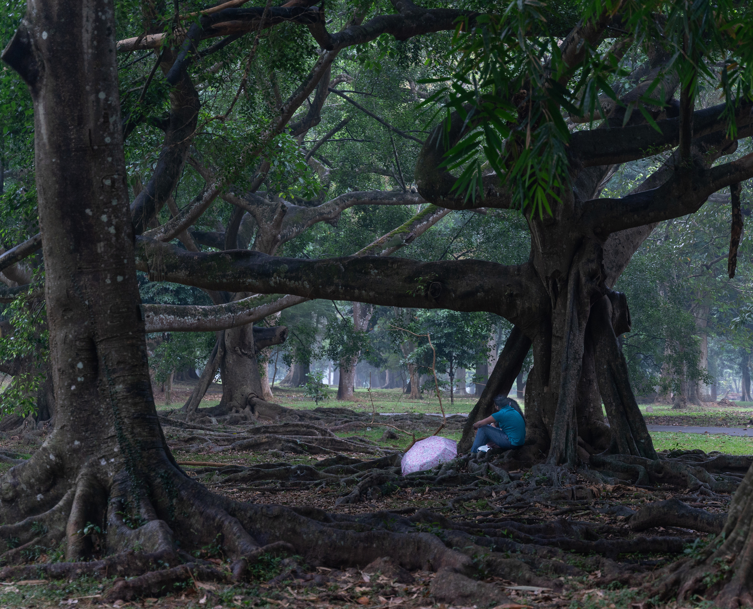 Шри-Ланка. ПОБУДЬ ЗДЕСЬ И ЦЕЛЕЕ БУДЕТ ЭТОТ МИР