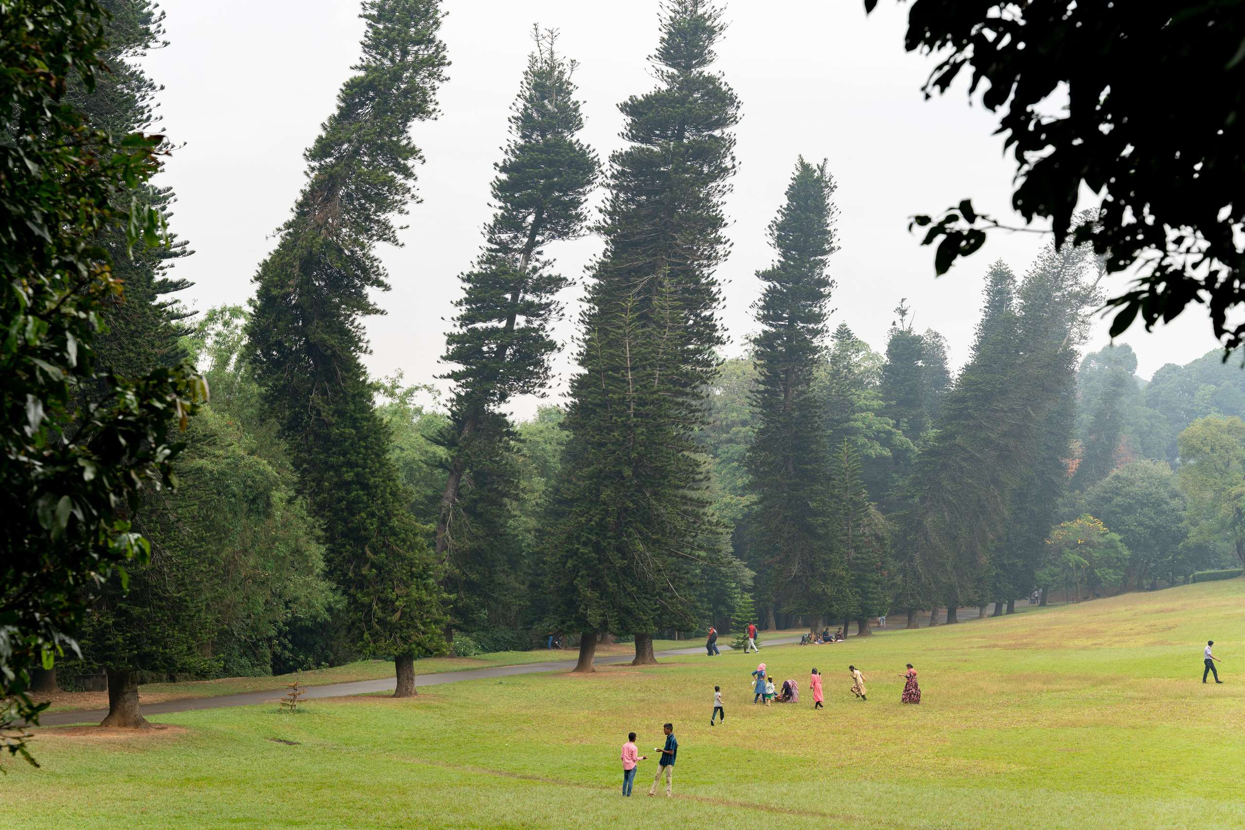 Шри-Ланка. ПОБУДЬ ЗДЕСЬ И ЦЕЛЕЕ БУДЕТ ЭТОТ МИР