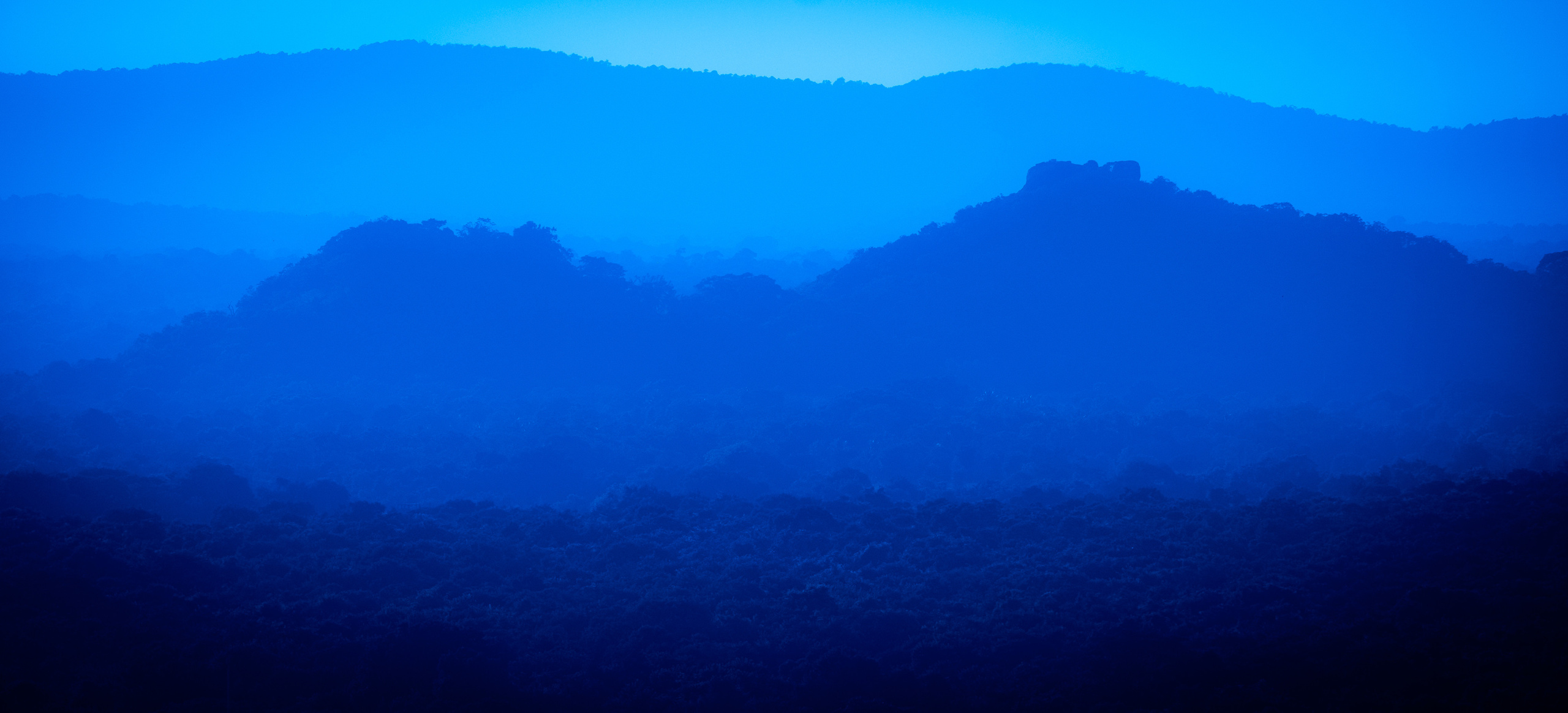 Шри-Ланка. ПОБУДЬ ЗДЕСЬ И ЦЕЛЕЕ БУДЕТ ЭТОТ МИР