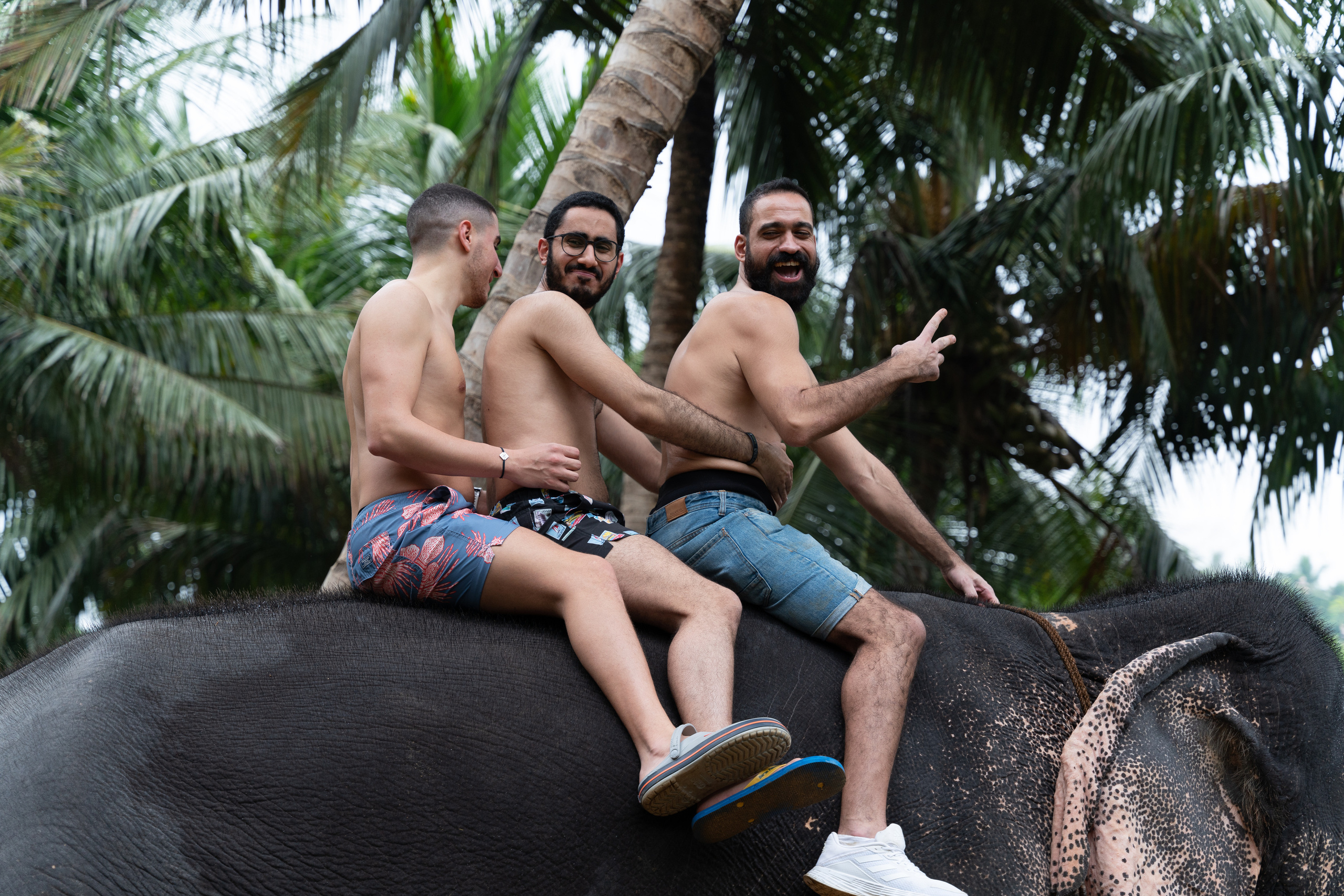 Шри-Ланка. ПОБУДЬ ЗДЕСЬ И ЦЕЛЕЕ БУДЕТ ЭТОТ МИР