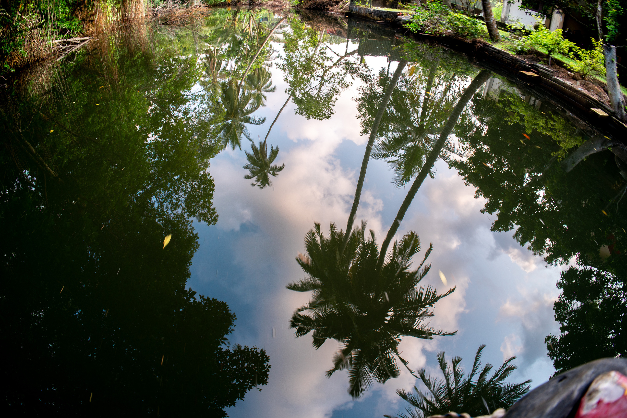 Шри-Ланка. ПОБУДЬ ЗДЕСЬ И ЦЕЛЕЕ БУДЕТ ЭТОТ МИР