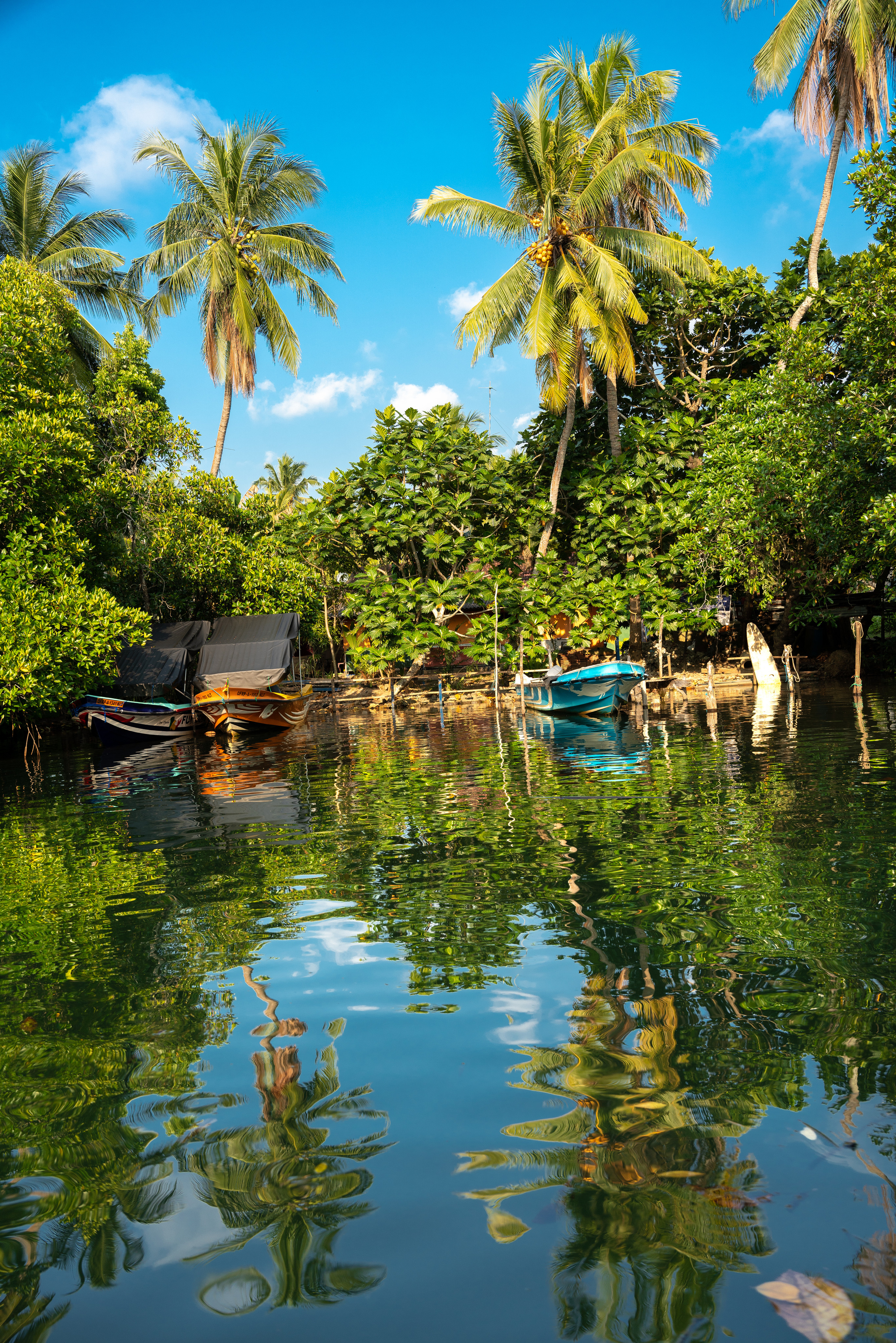 Шри-Ланка. ПОБУДЬ ЗДЕСЬ И ЦЕЛЕЕ БУДЕТ ЭТОТ МИР