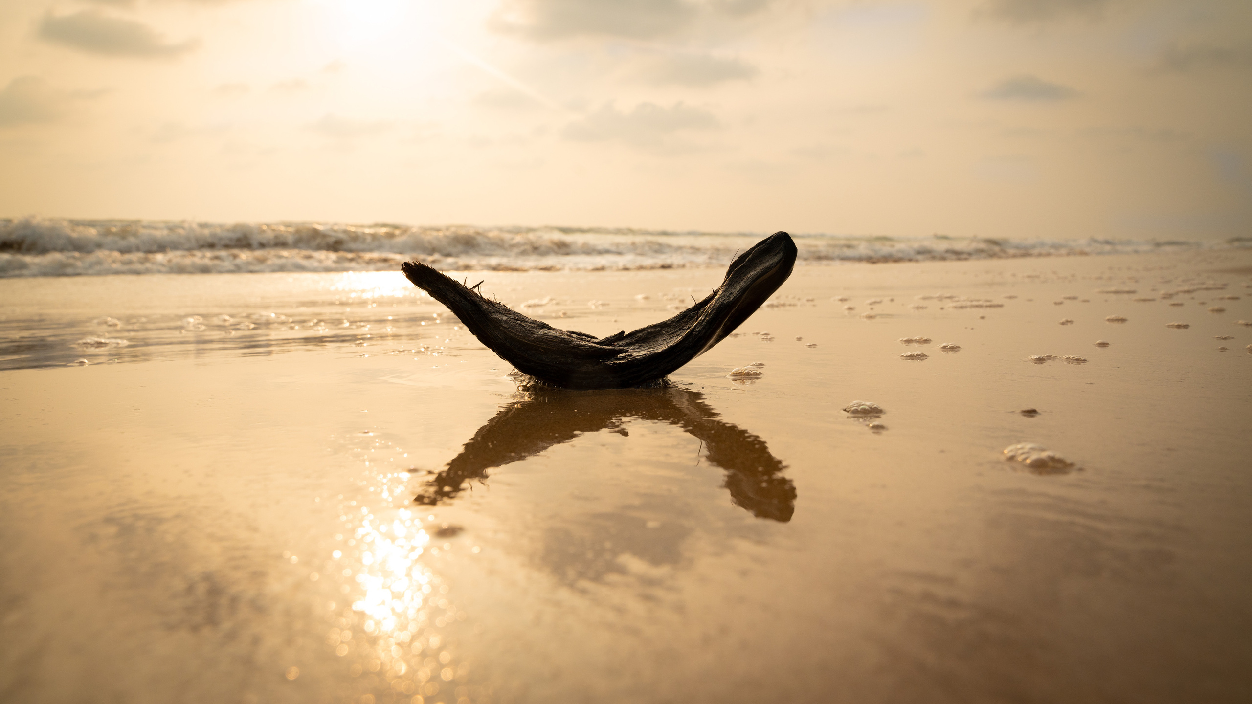 Шри-Ланка. ПОБУДЬ ЗДЕСЬ И ЦЕЛЕЕ БУДЕТ ЭТОТ МИР