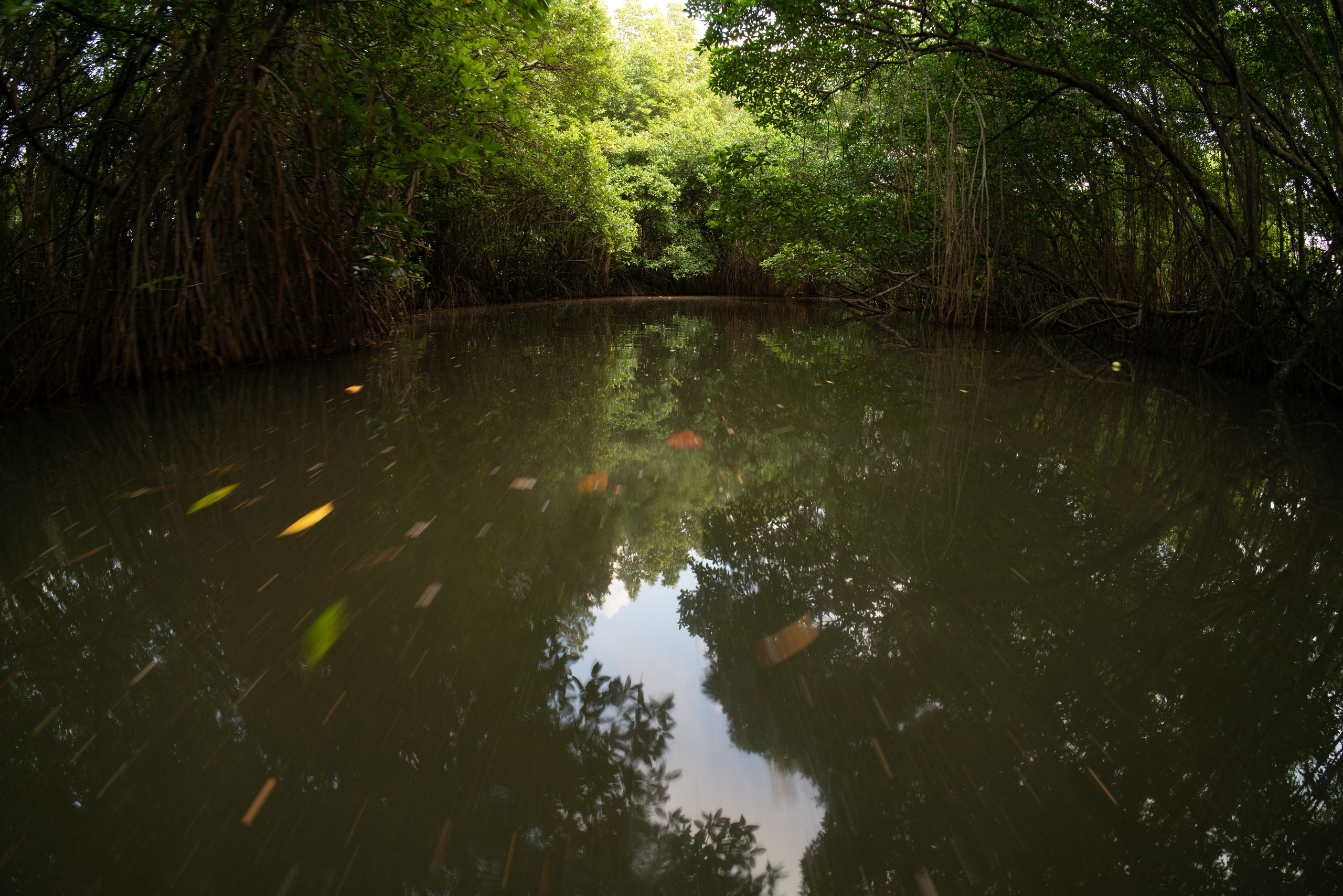 Шри-Ланка. ПОБУДЬ ЗДЕСЬ И ЦЕЛЕЕ БУДЕТ ЭТОТ МИР