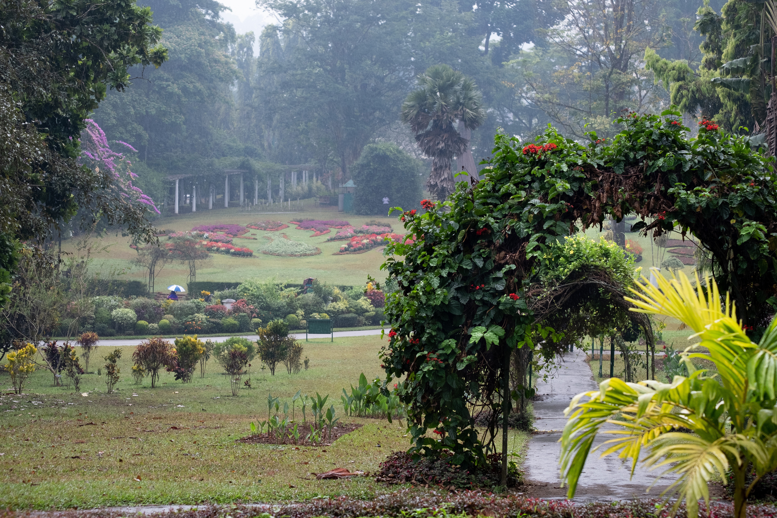 Шри-Ланка. ПОБУДЬ ЗДЕСЬ И ЦЕЛЕЕ БУДЕТ ЭТОТ МИР