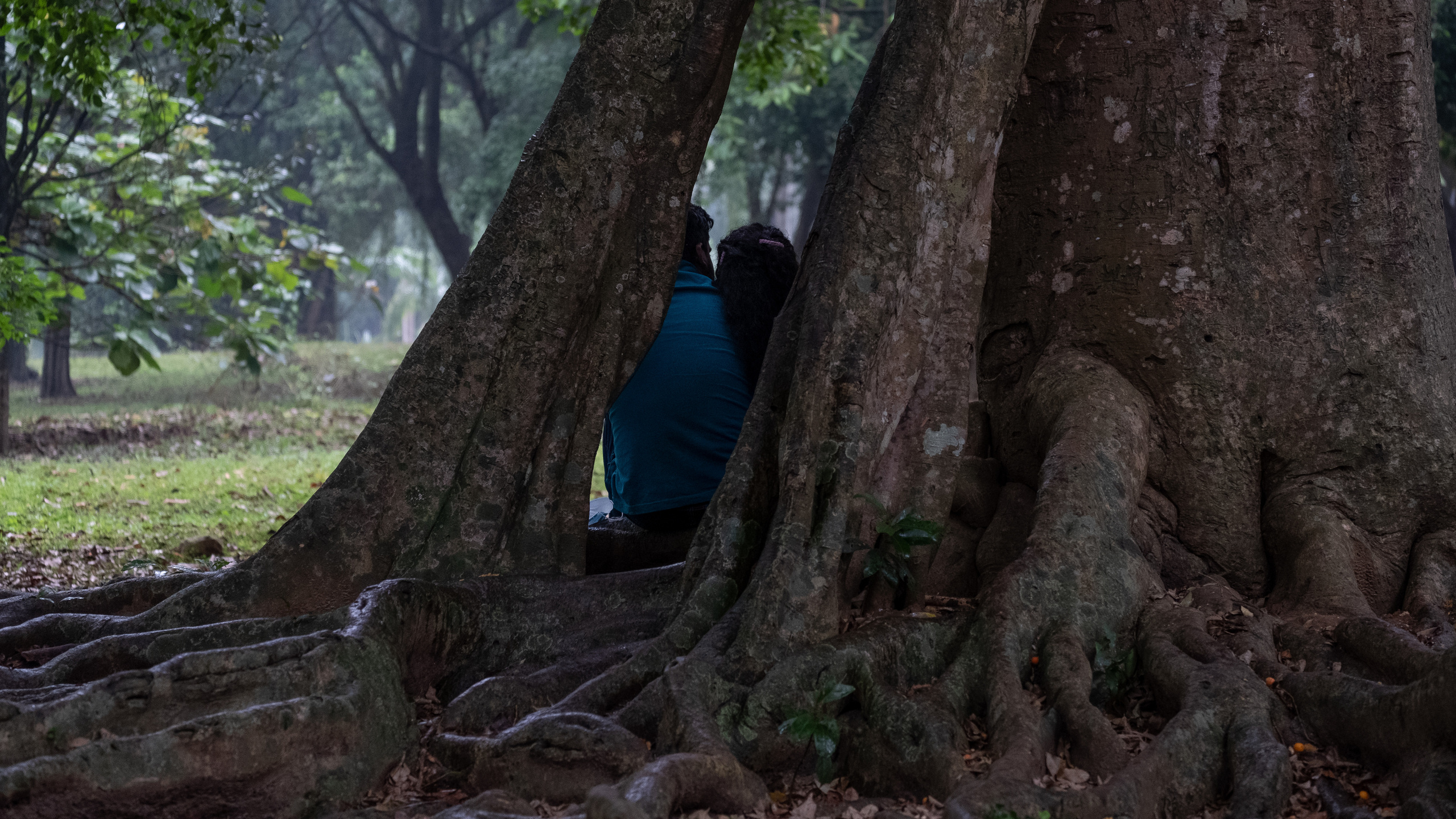 Шри-Ланка. ПОБУДЬ ЗДЕСЬ И ЦЕЛЕЕ БУДЕТ ЭТОТ МИР