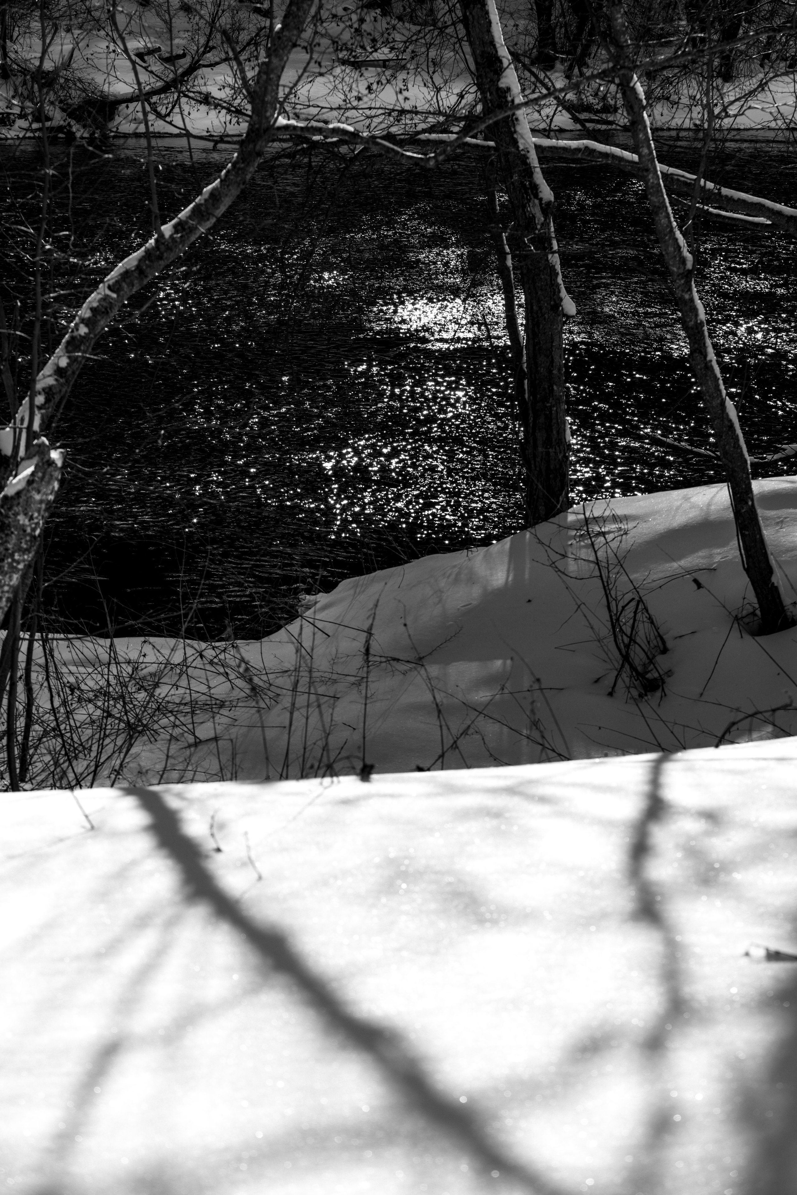 Река. ПОБУДЬ ЗДЕСЬ И ЦЕЛЕЕ БУДЕТ ЭТОТ МИР