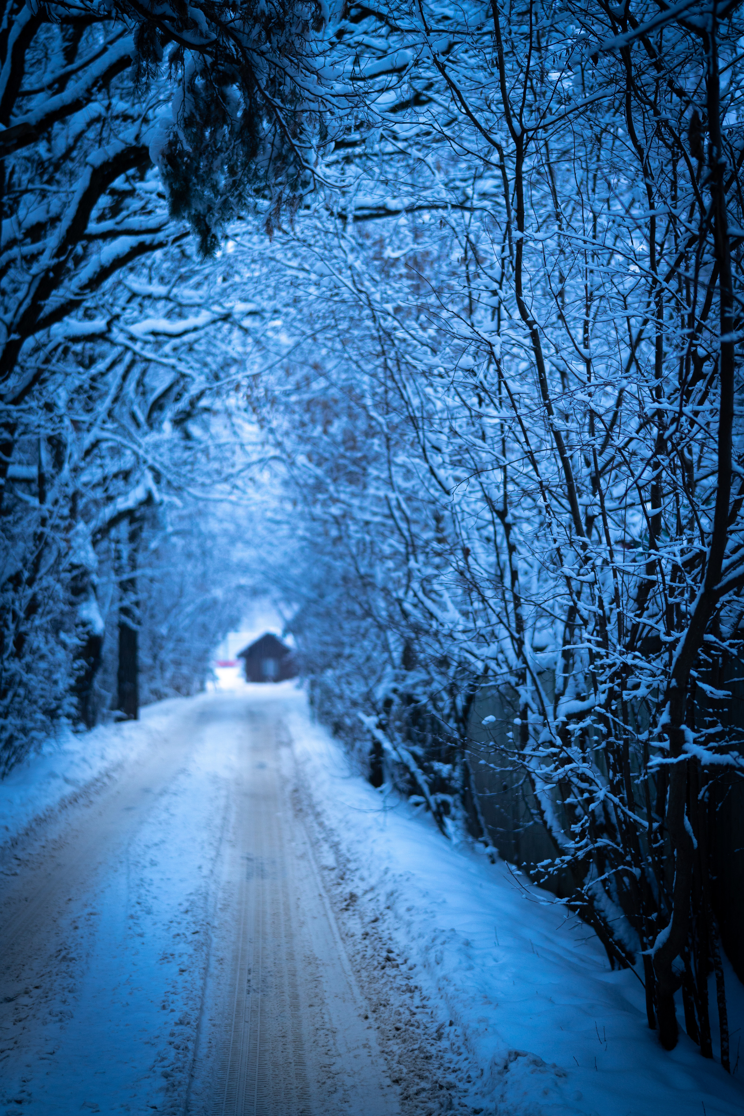 ПЕРЕДЕЛКИНО. ПОБУДЬ ЗДЕСЬ И ЦЕЛЕЕ БУДЕТ ЭТОТ МИР