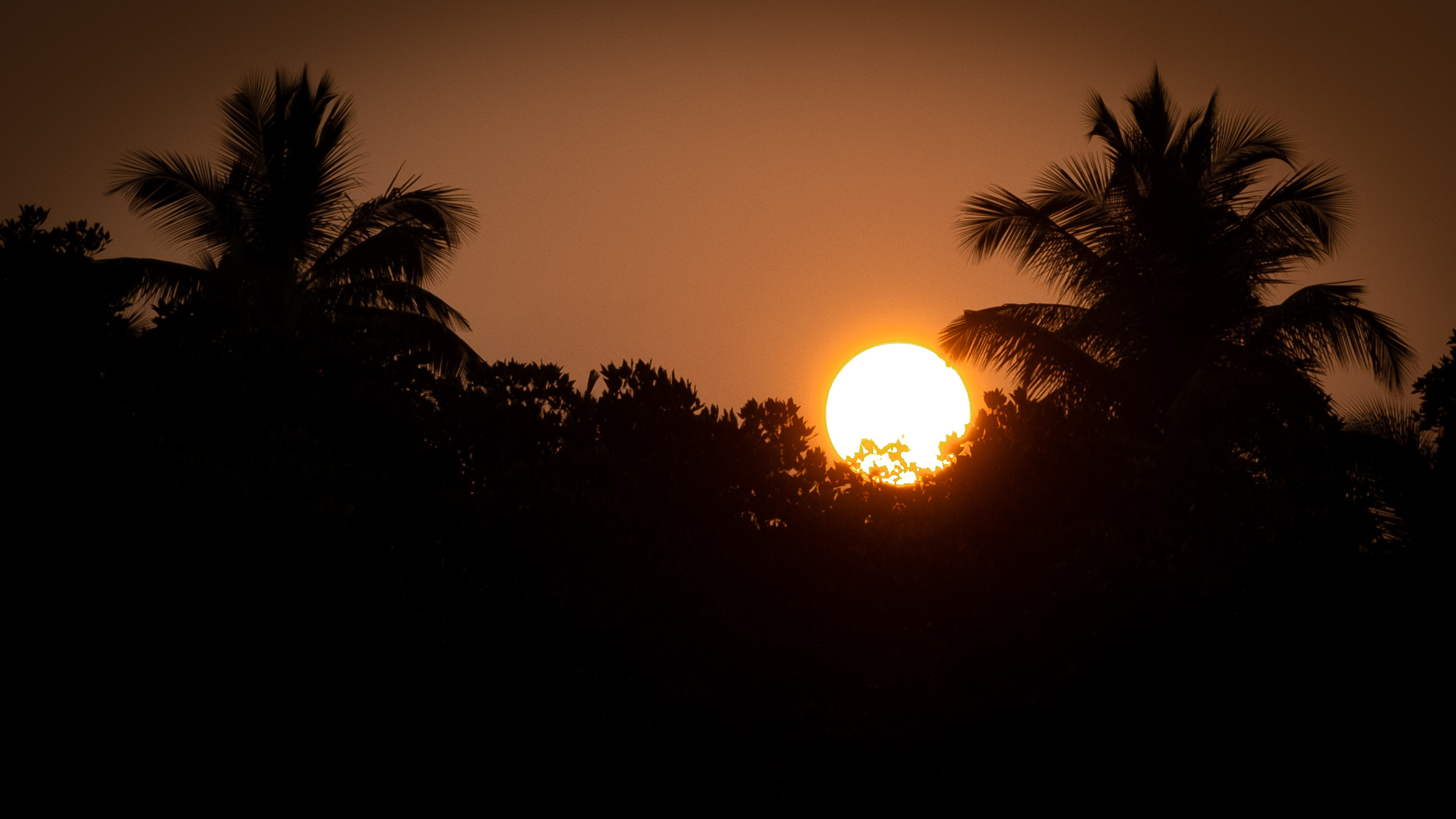 Шри-Ланка. ПОБУДЬ ЗДЕСЬ И ЦЕЛЕЕ БУДЕТ ЭТОТ МИР