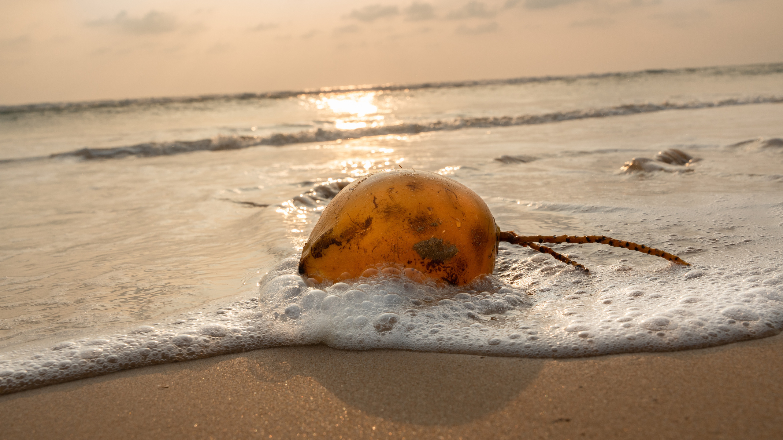 Шри-Ланка. ПОБУДЬ ЗДЕСЬ И ЦЕЛЕЕ БУДЕТ ЭТОТ МИР