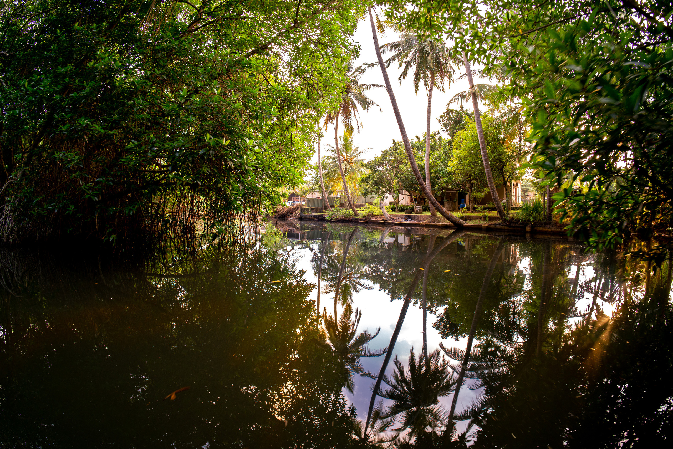Шри-Ланка. ПОБУДЬ ЗДЕСЬ И ЦЕЛЕЕ БУДЕТ ЭТОТ МИР