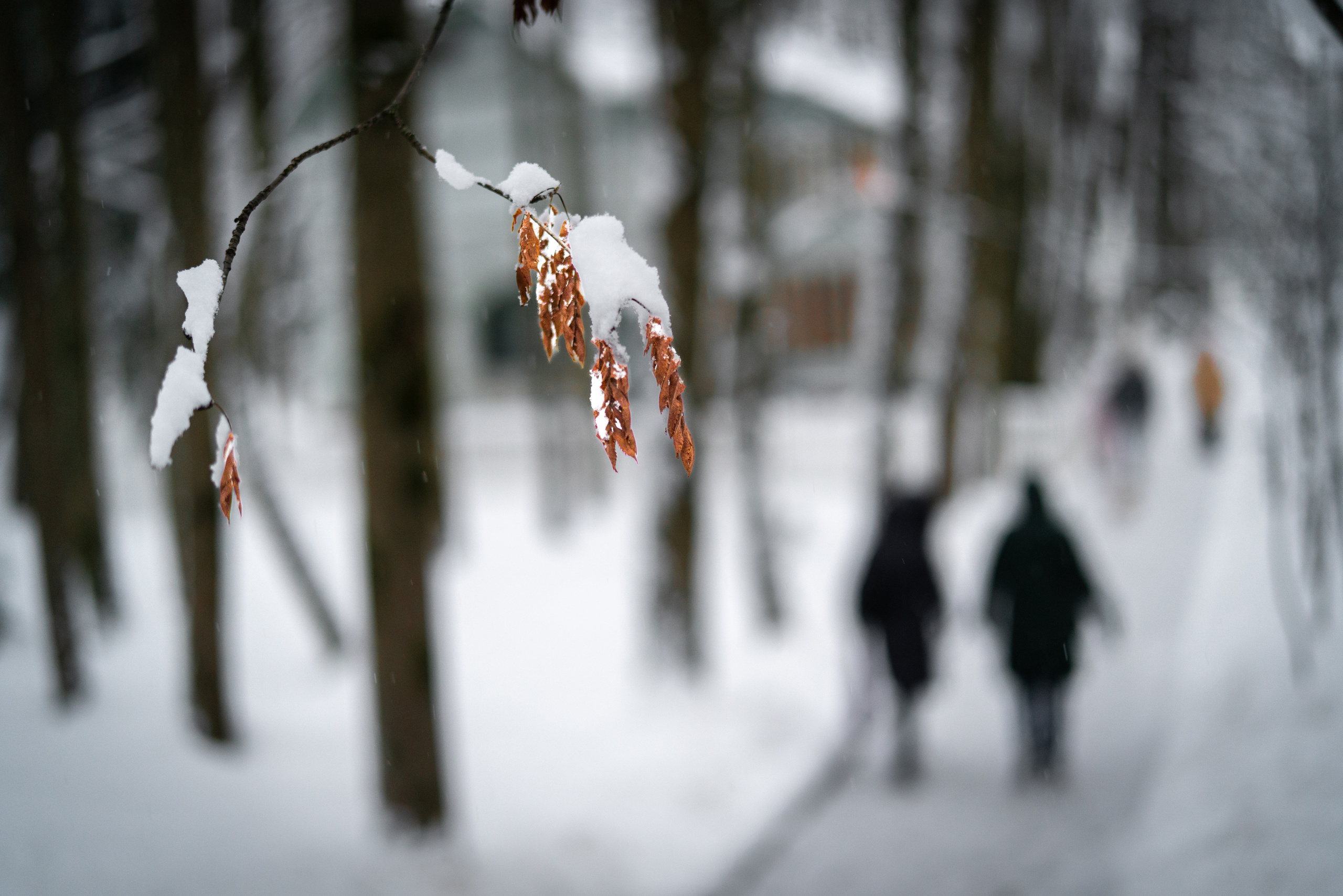 ПЕРЕДЕЛКИНО. ПОБУДЬ ЗДЕСЬ И ЦЕЛЕЕ БУДЕТ ЭТОТ МИР