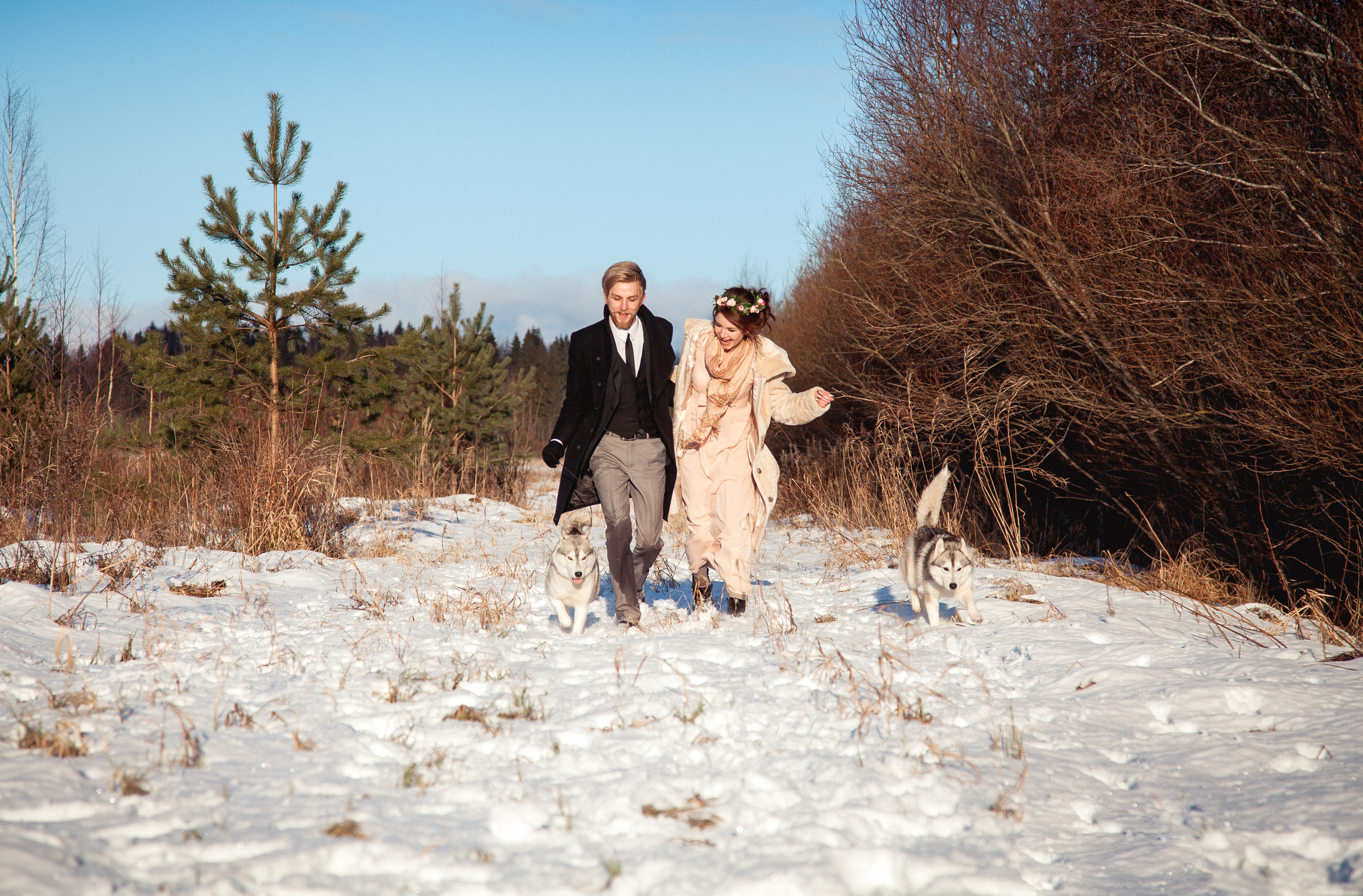 Зимняя свадьба. Фотограф в Санкт-Петербурге Елизавета Сорокина