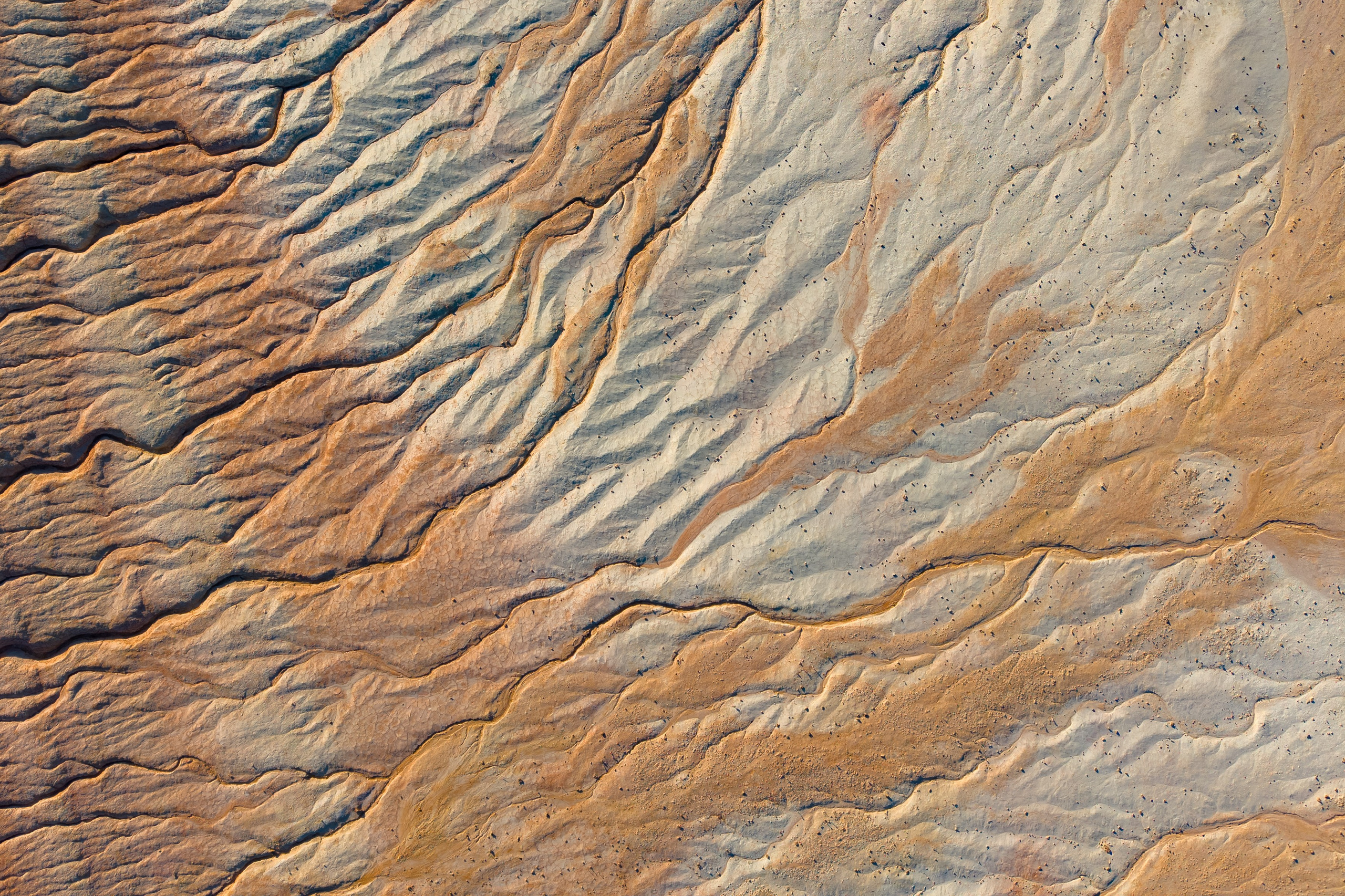 Крупный план + Арт. Daria wanderer photography