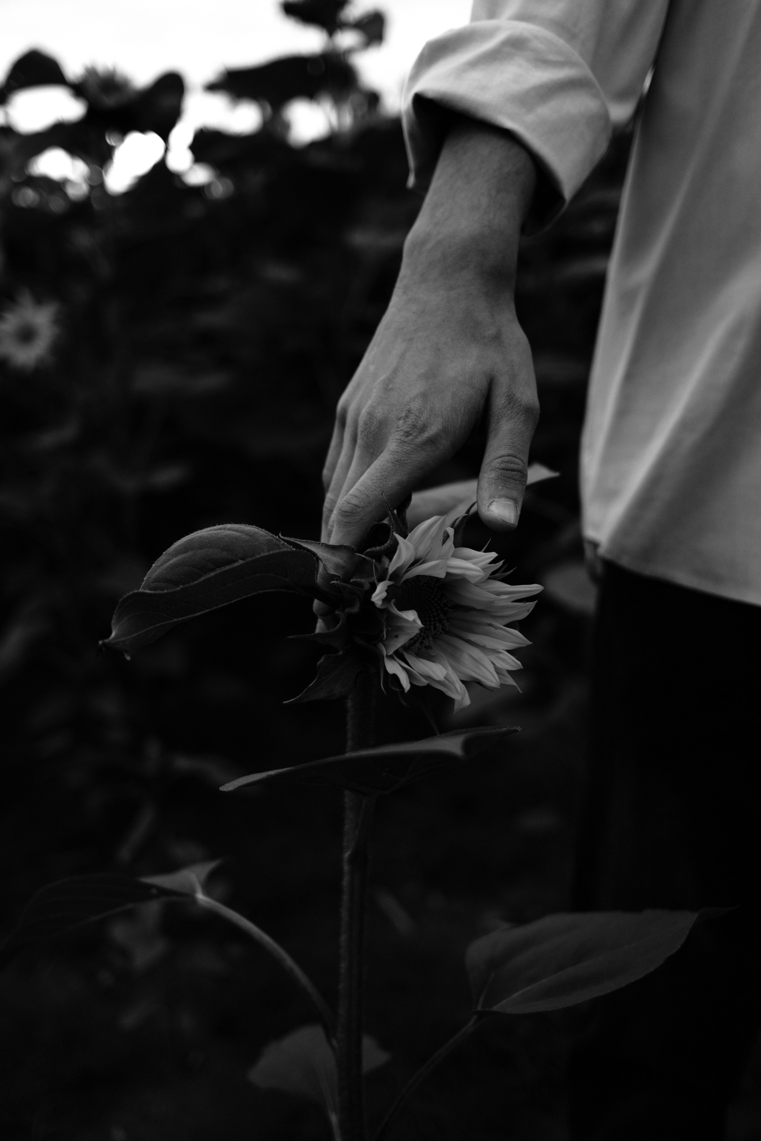 Илья и Катя. Жанровый и портретный фотограф Брянск — Москва