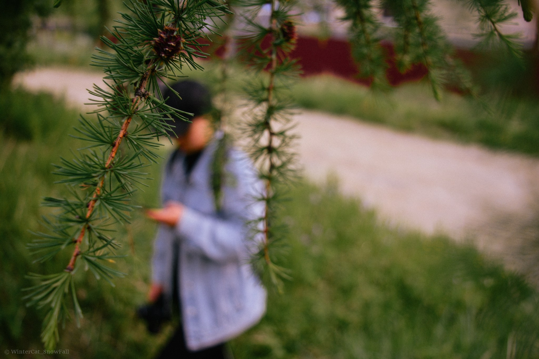 Съемки. Портретный и репортажный фотограф в Магадане Андрей Нефедов WinterCatPhoto