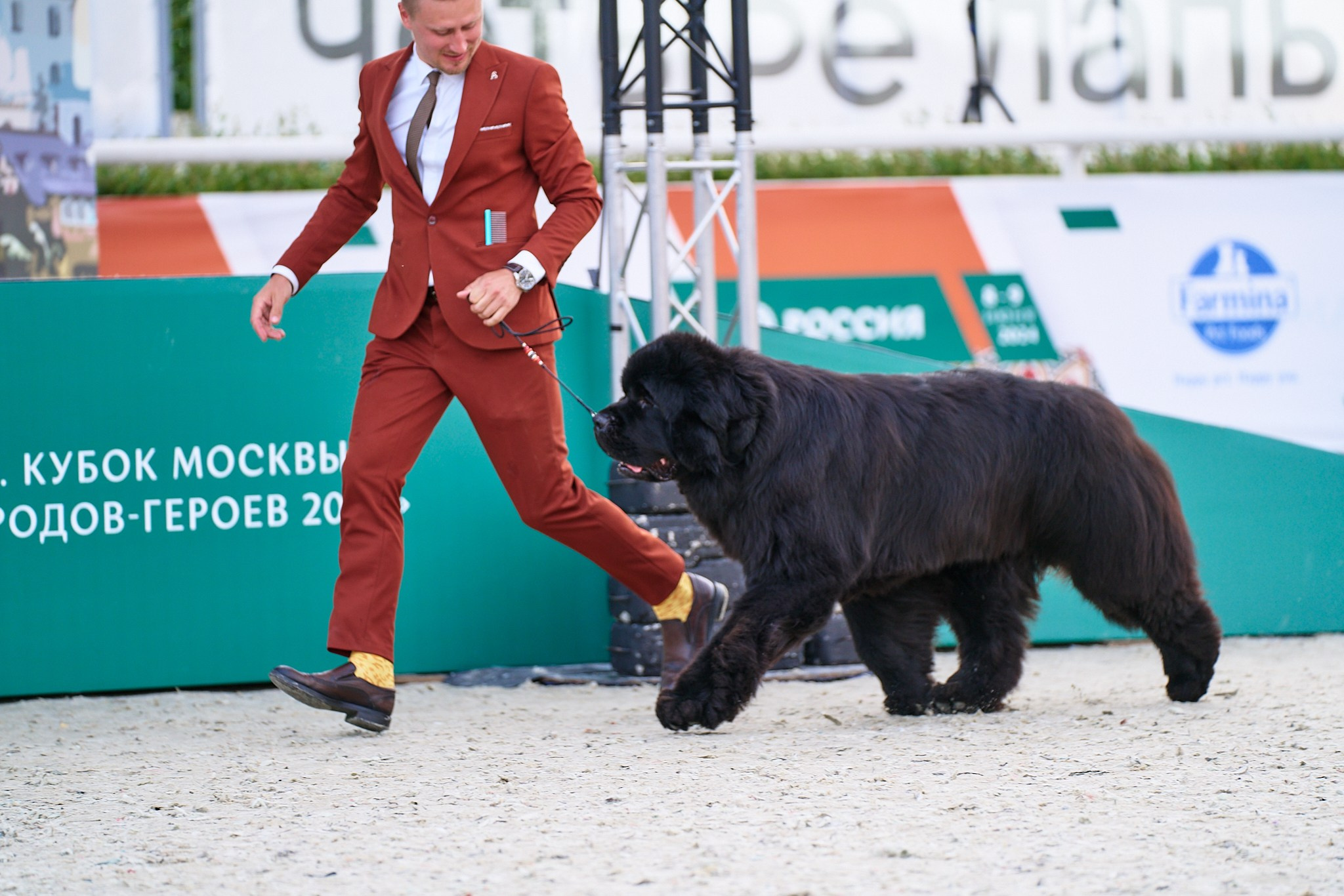 09.06.2024, «РОССИЯ. КУБОК МОСКВЫ 2024 & КУБОК ГОРОДОВ-ГЕРОЕВ»