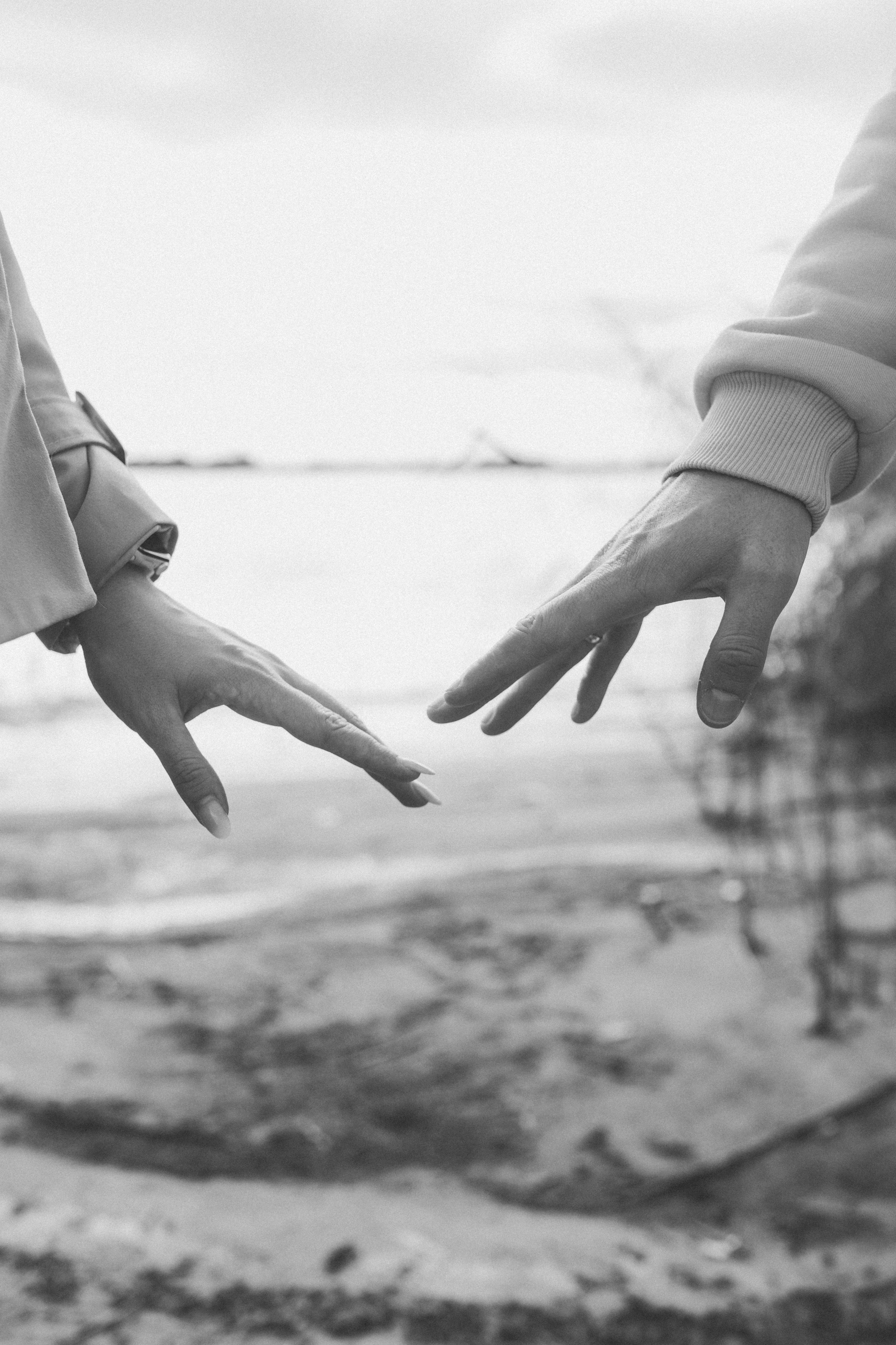 Саша Леся и Чипс. Свадебный фотограф Казань