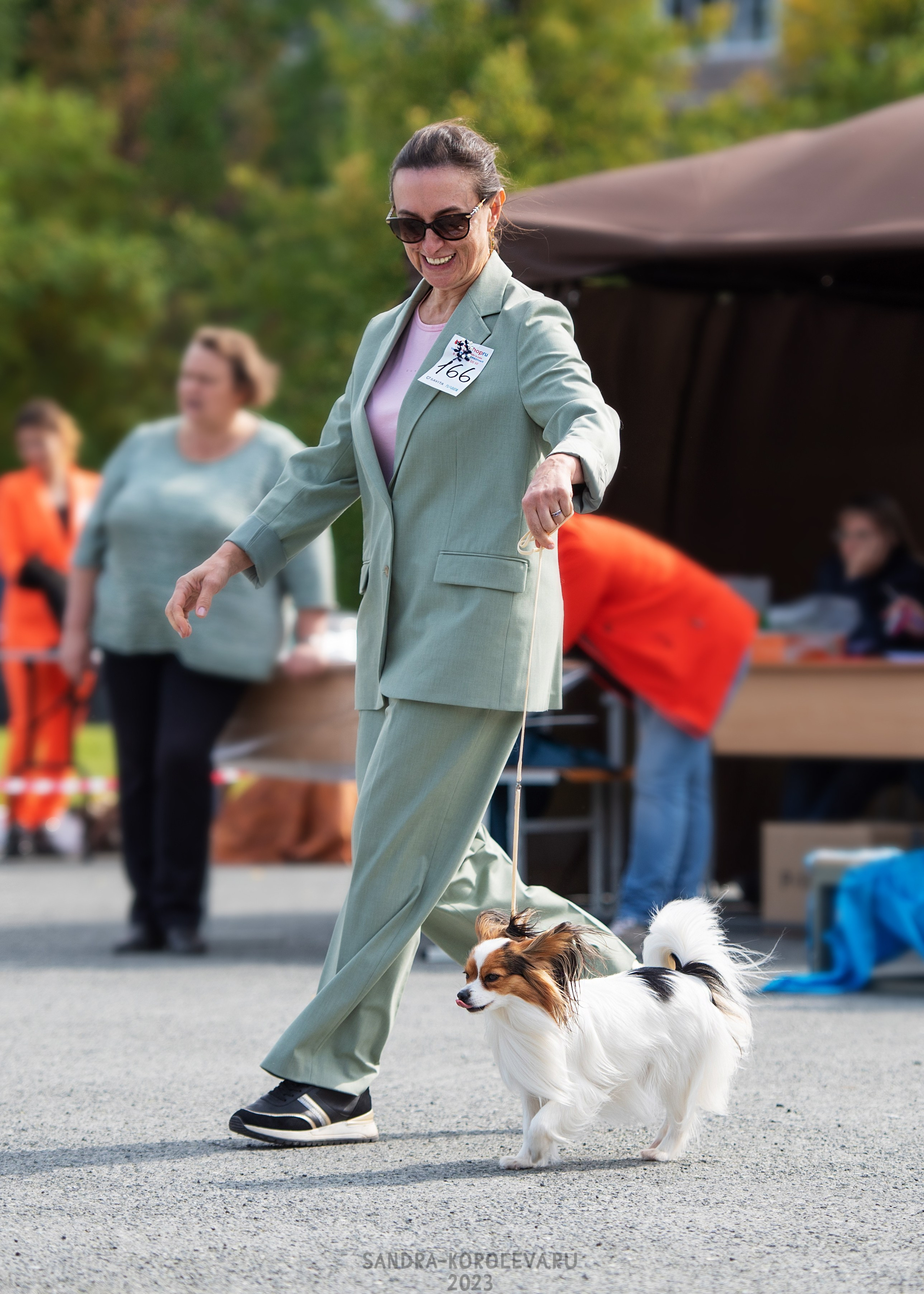 Выставка собак Тюмень 02.09.2023. Дог-фотограф в Тюмени Александра Королева