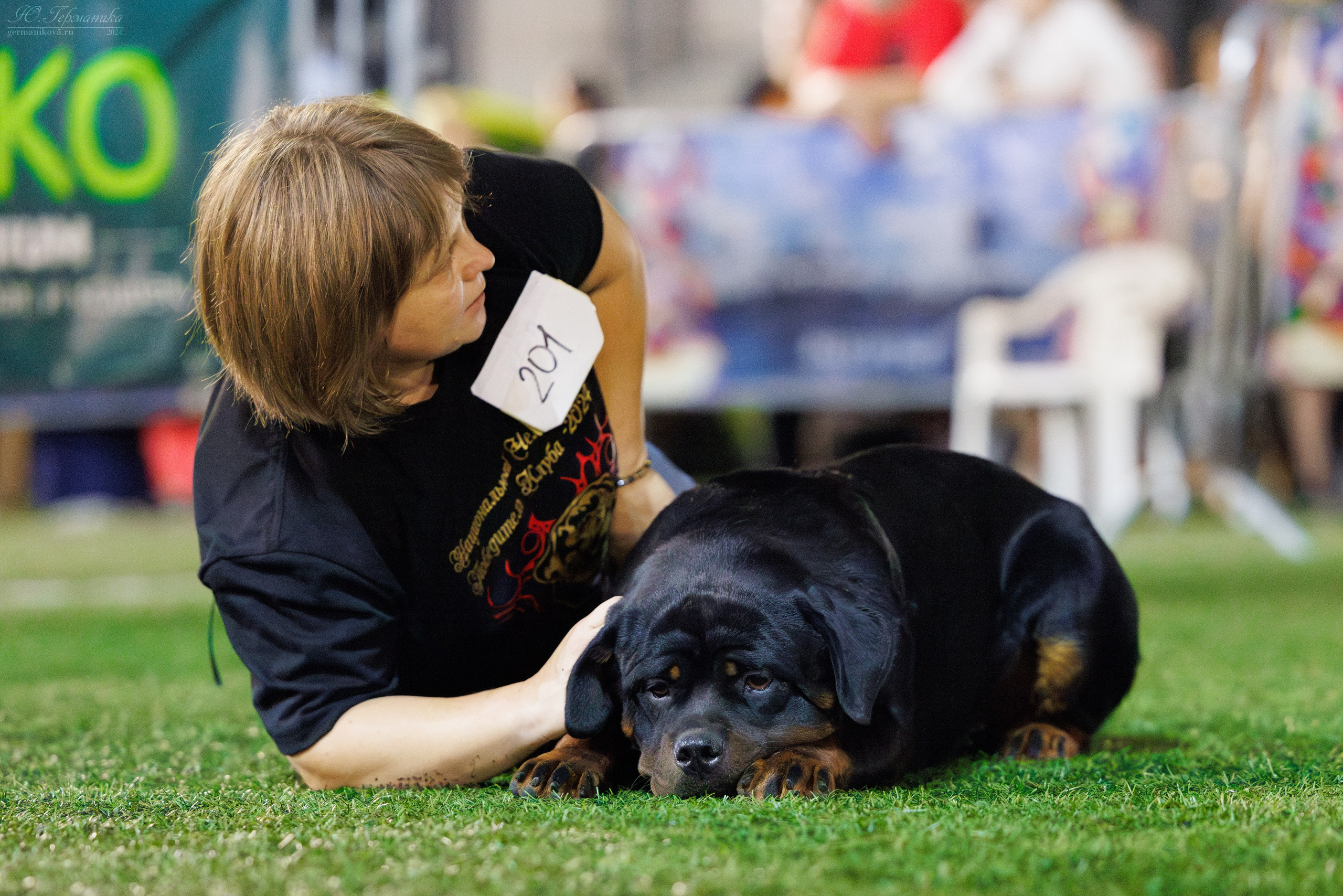 Волгоград 2-4.08.2024. Фотограф-анималист Юлия Германика