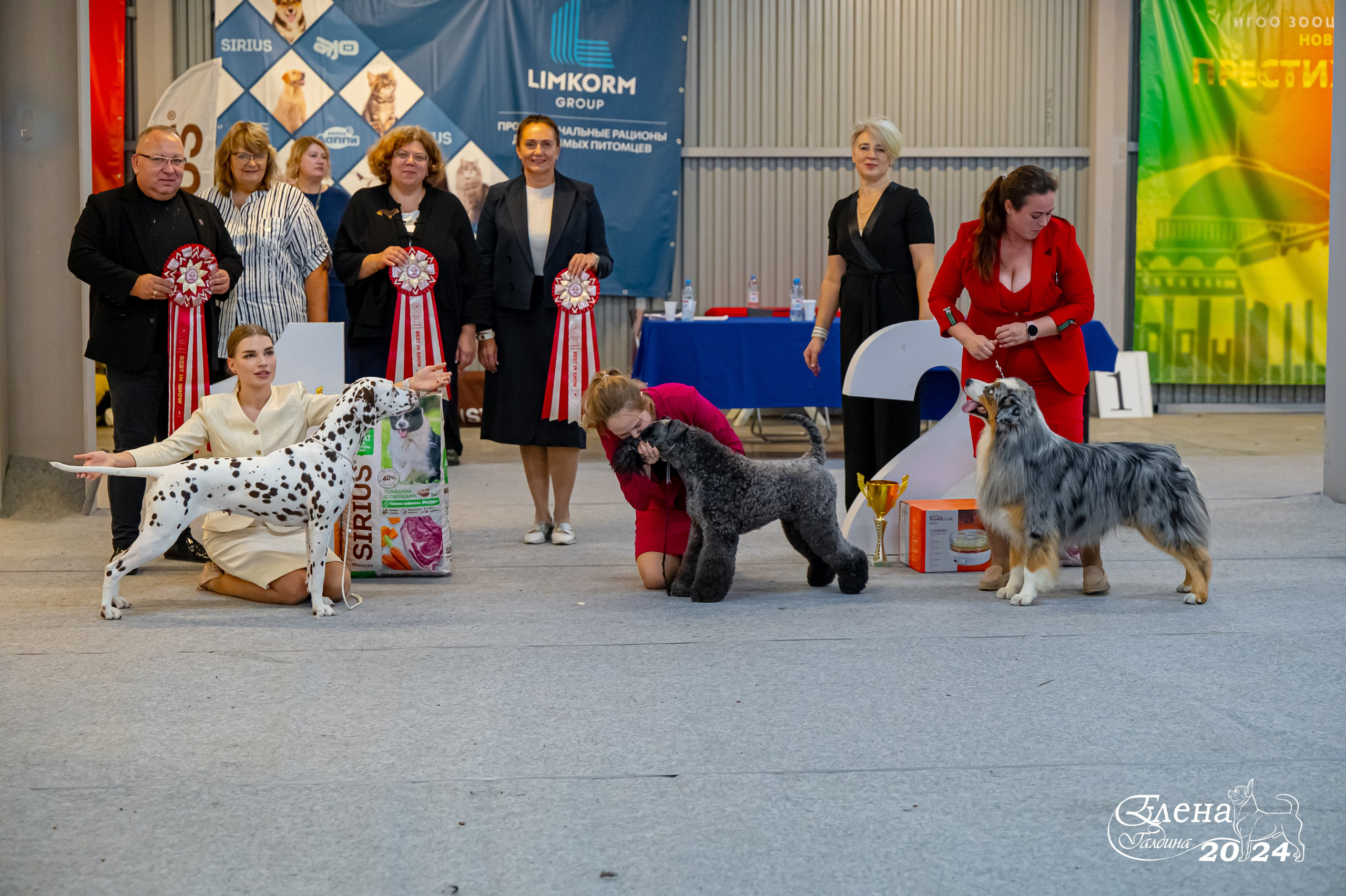 Главная. Фотограф анималист Елена Галдина г. Красноярск