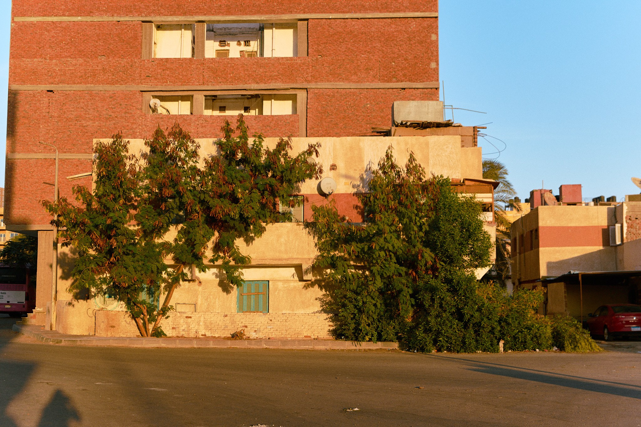Второй сорт. Jorgis — фотограф в Хургаде / обучение фотографии