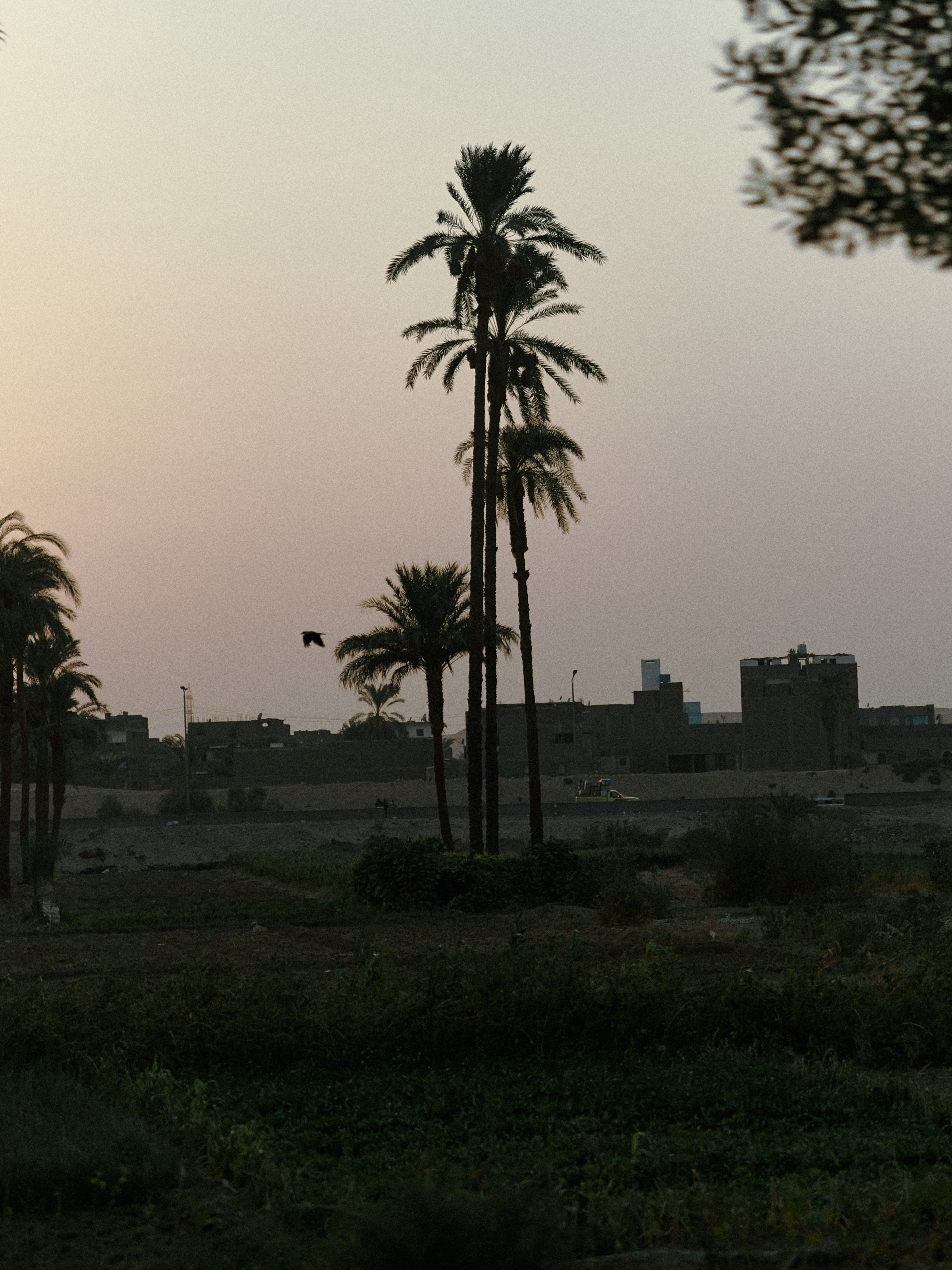 Диптих. Jorgis — фотограф в Хургаде / обучение фотографии