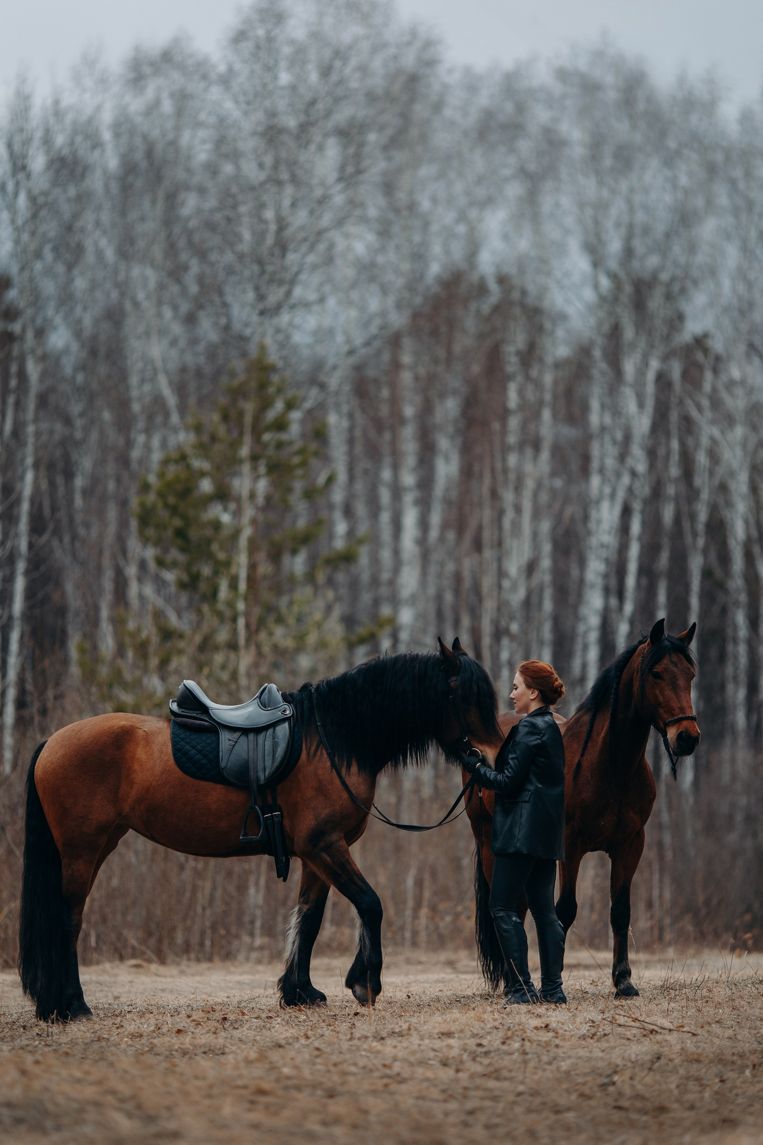 Яна и Халветта. Анна Молчанова конный фотограф в Тюмени | фотосессии с лошадьми Тюмень