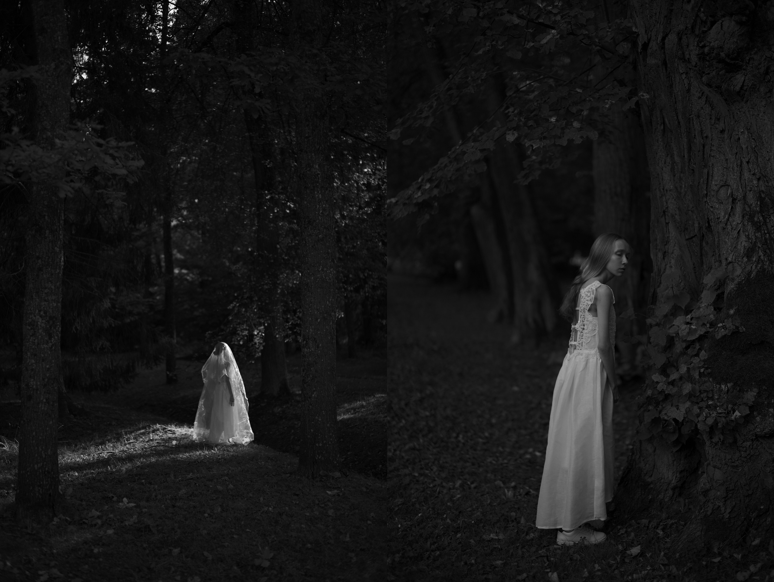 Тонкое. Фотограф Александр Медведев