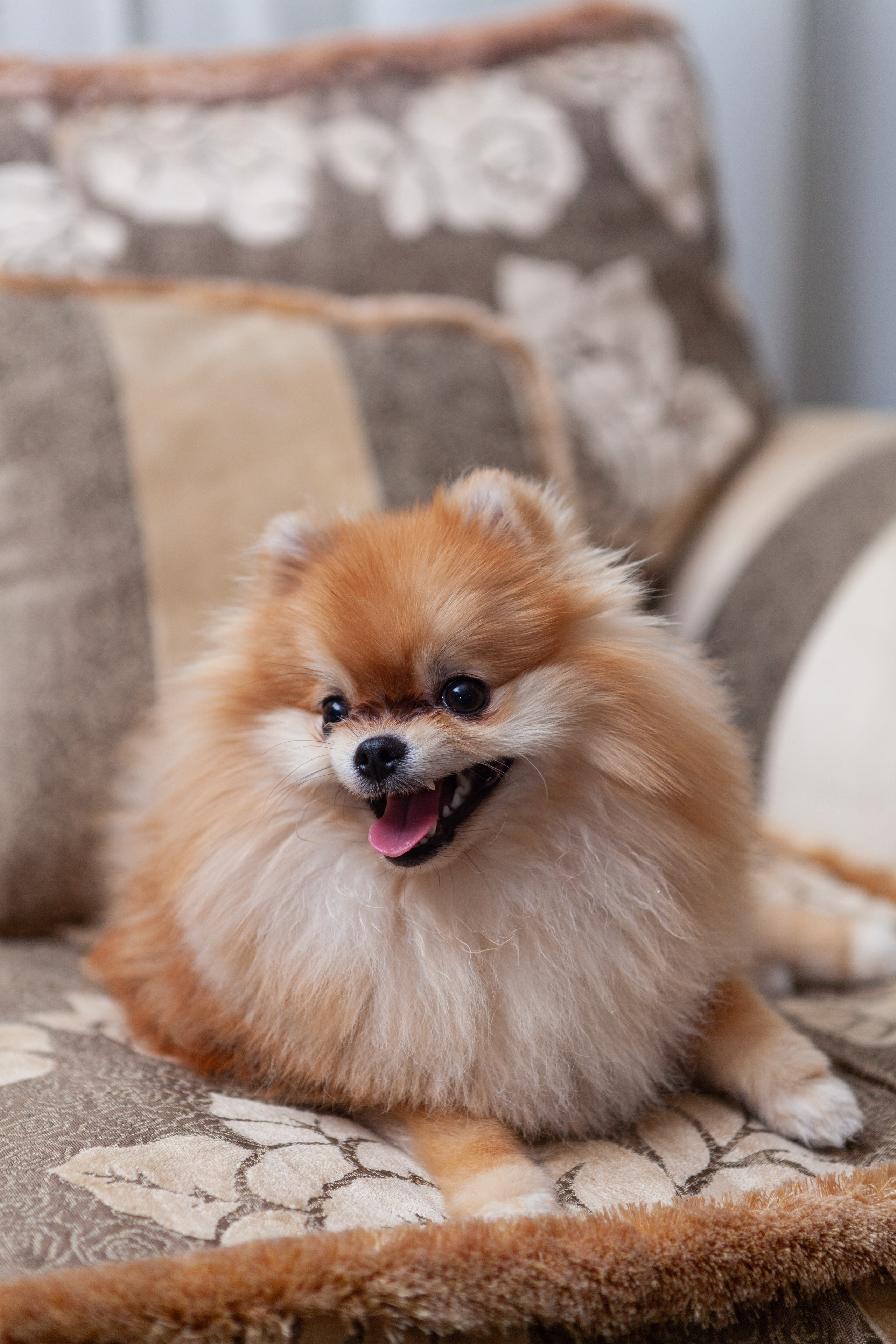 РОМАНТИК В НОМЕРЕ. Фотограф на любое мероприятие