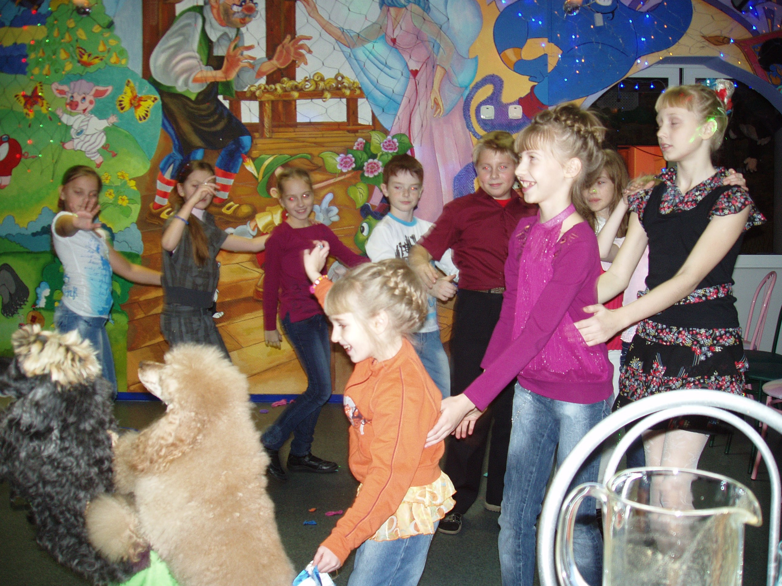 Катя ДР 11 лет Василек 30.11.2010. Семейный, Свадебный фотограф СПБ Питер— Романова Екатерина