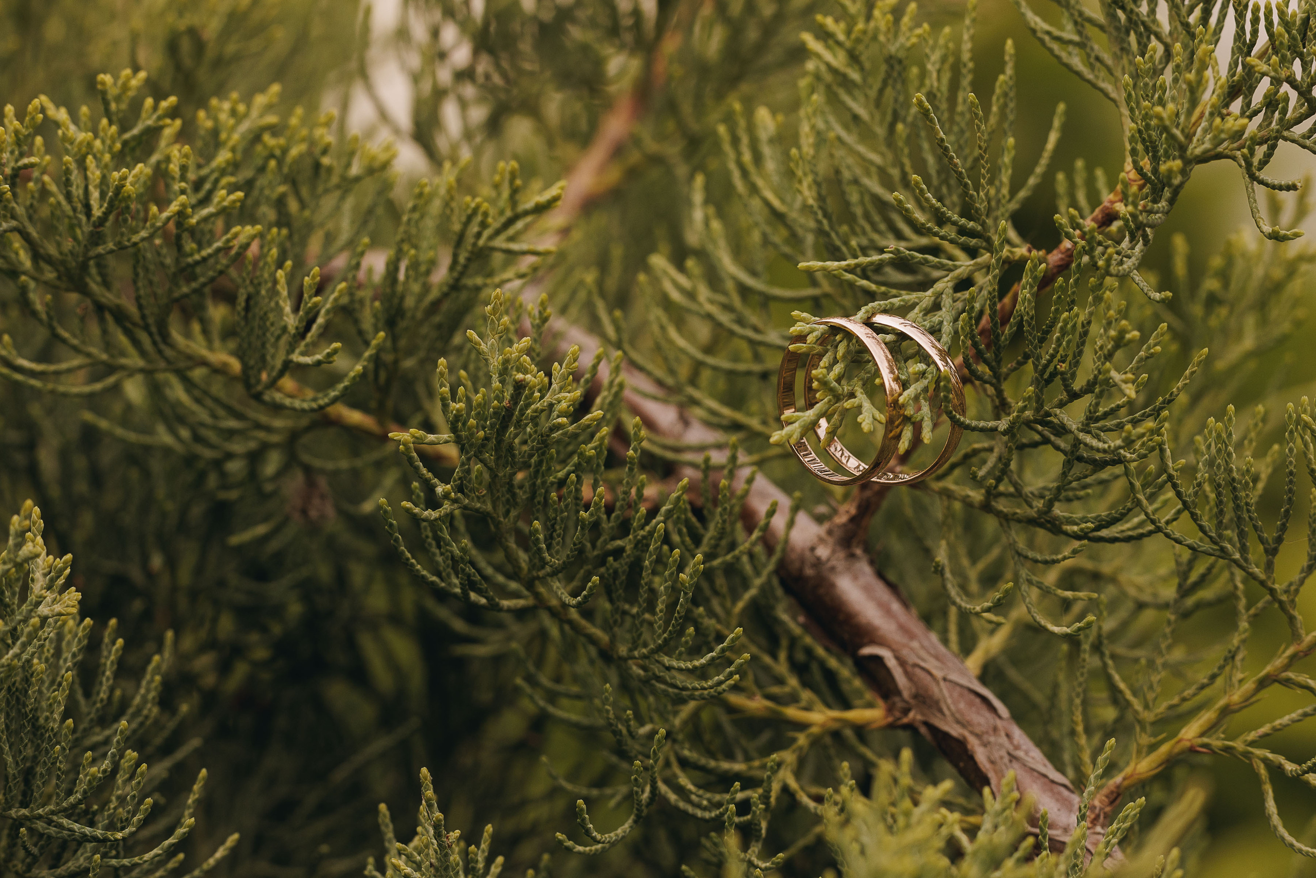 Фотограф Николай Козерин — отзывы клиентов. Фотограф в Ярославле и Рыбинске — Николай Козерин