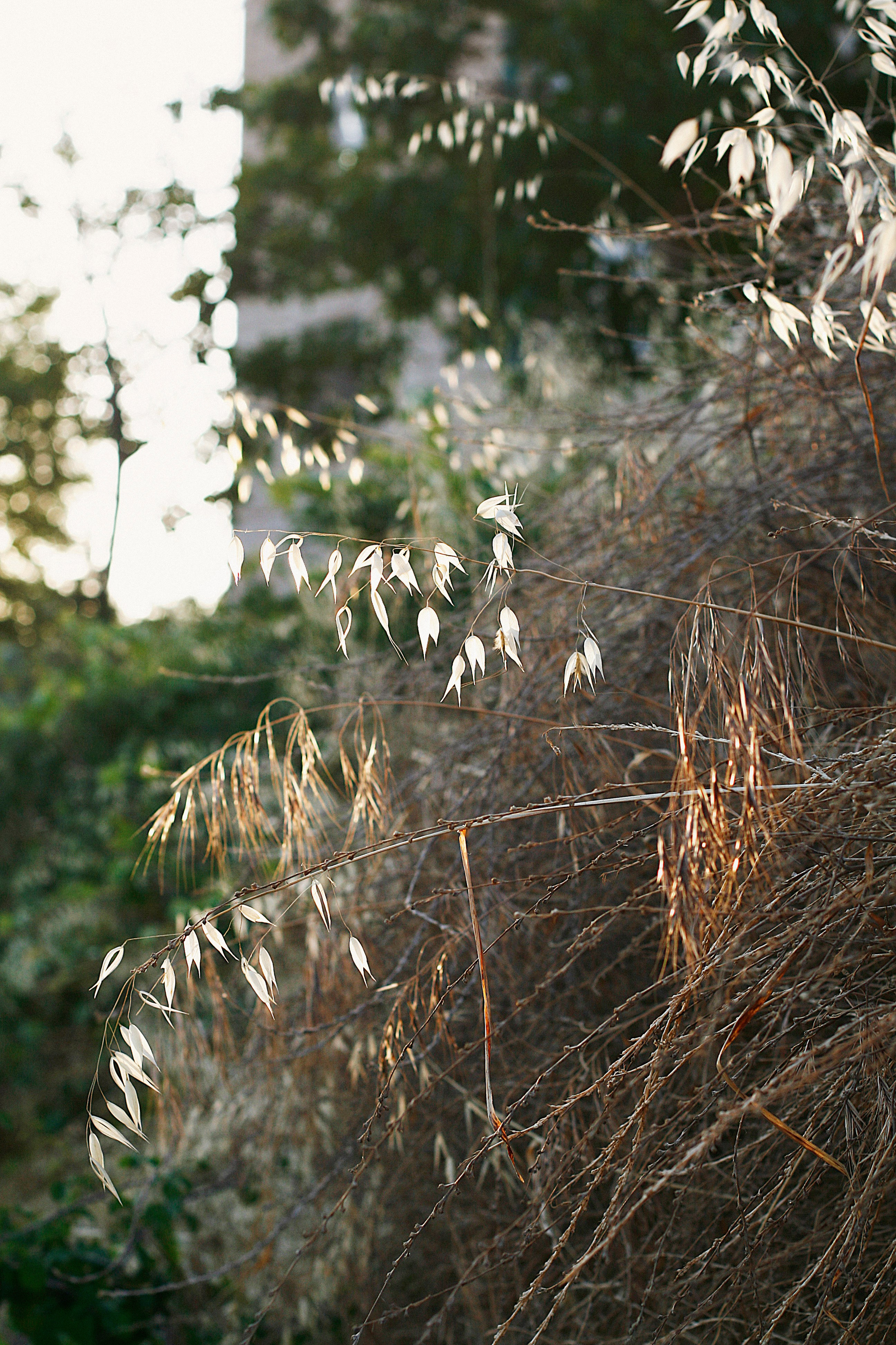 Путешествия. Балетный фотограф в Москве Евгения Сухарева