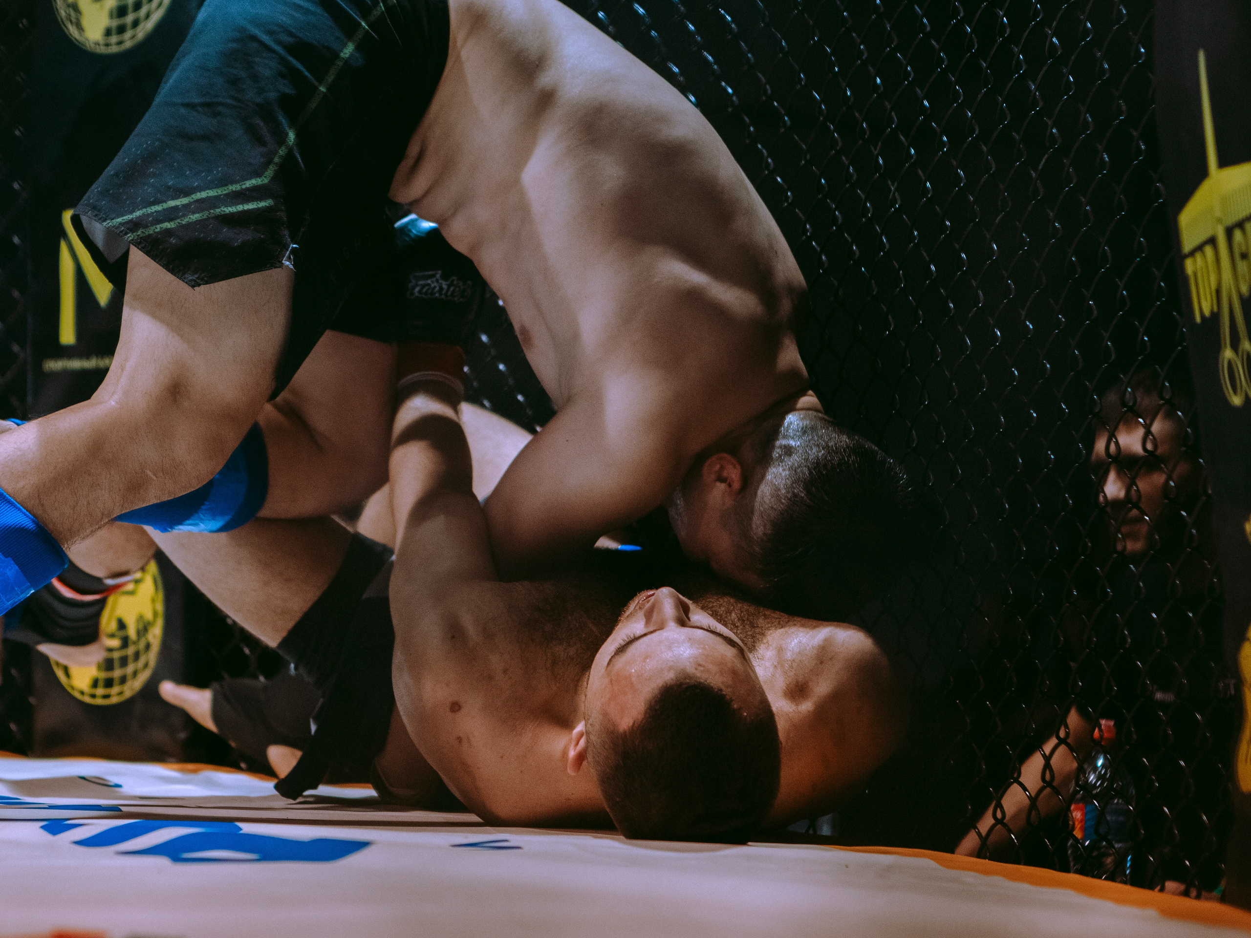 SFL 17 | Siberian Fighting League. Портретный фотограф в Москве Дарья Цезария