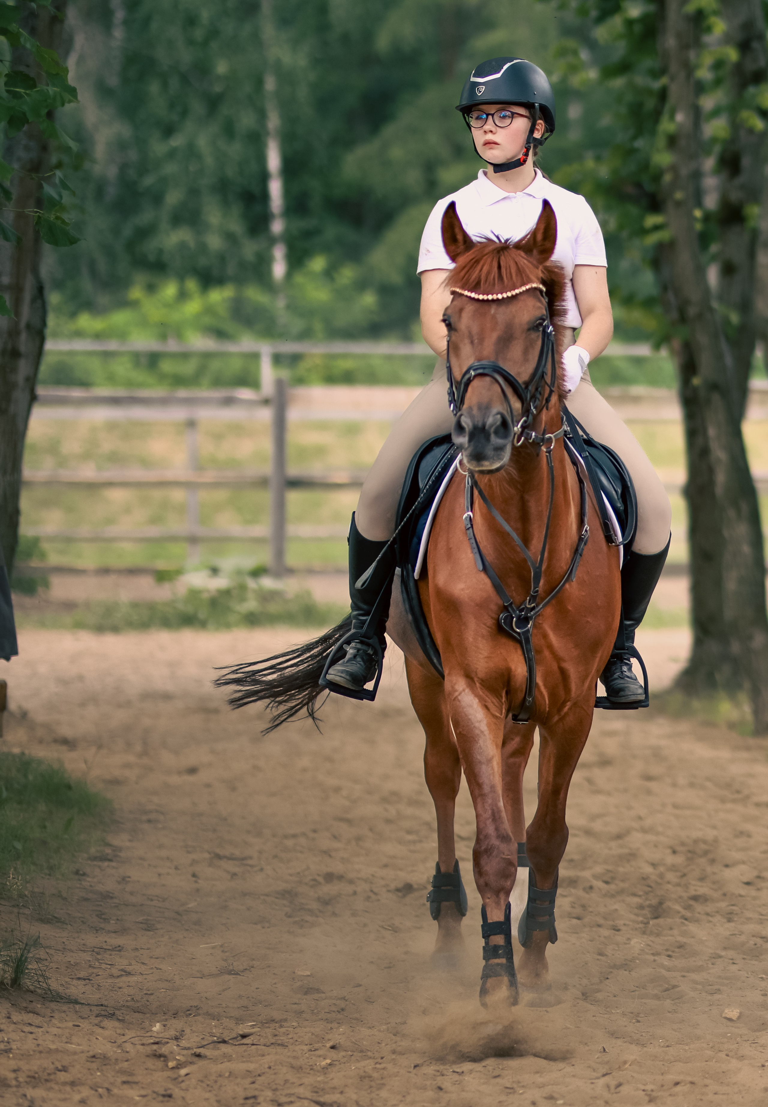 Соревнования по конному спорту. Фотограф репортажей и стритфотосессий в Москве Людмила Смирнова