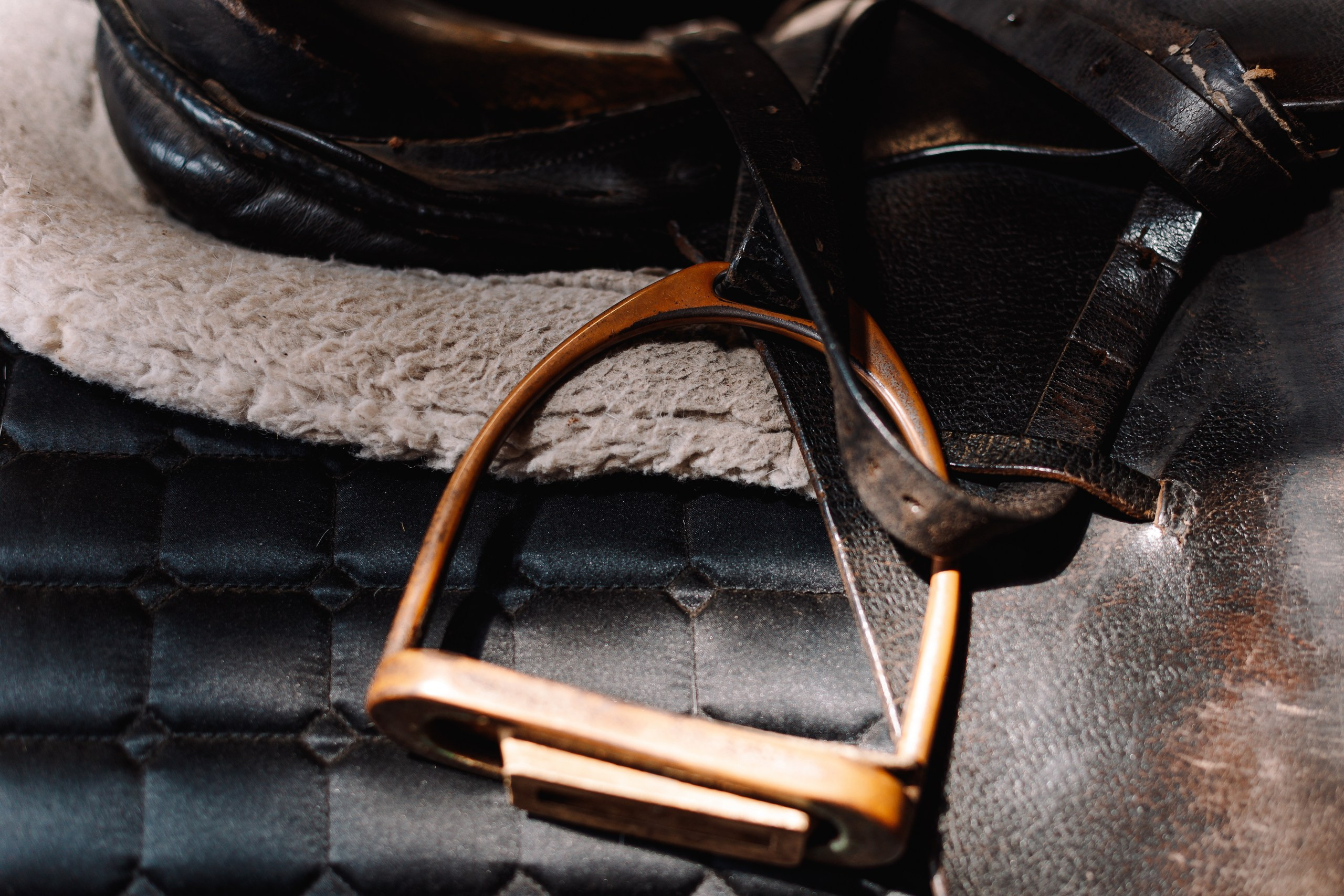 Фотосессия прогулка кони  Новокузнецк водник