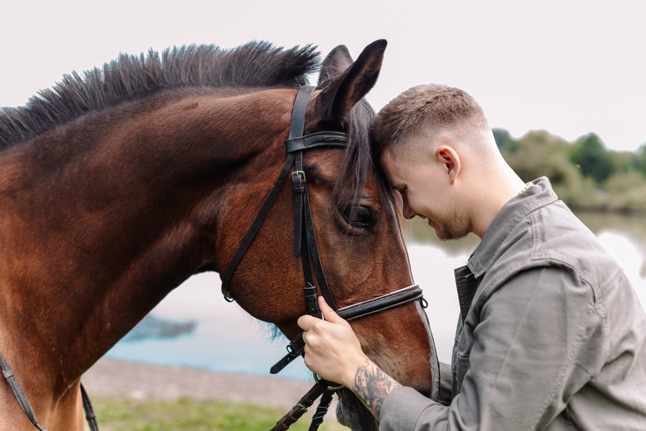 Фотосессия прогулка кони  Новокузнецк водник