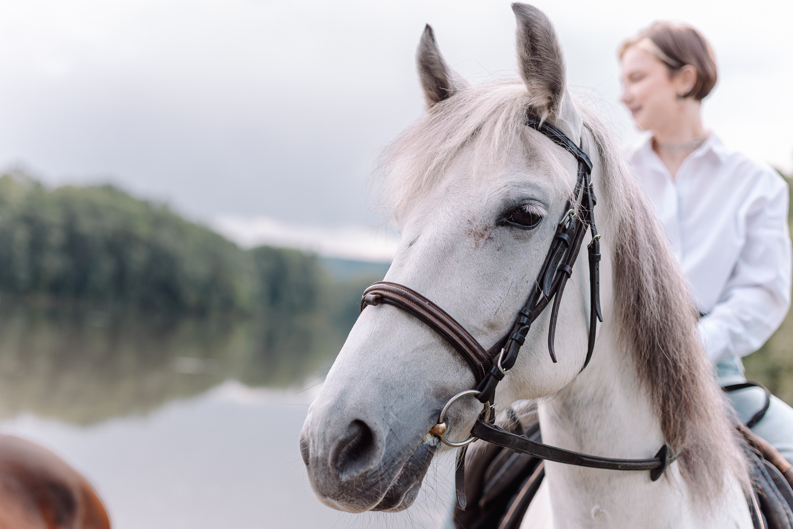 Фотосессия прогулка кони  Новокузнецк водник