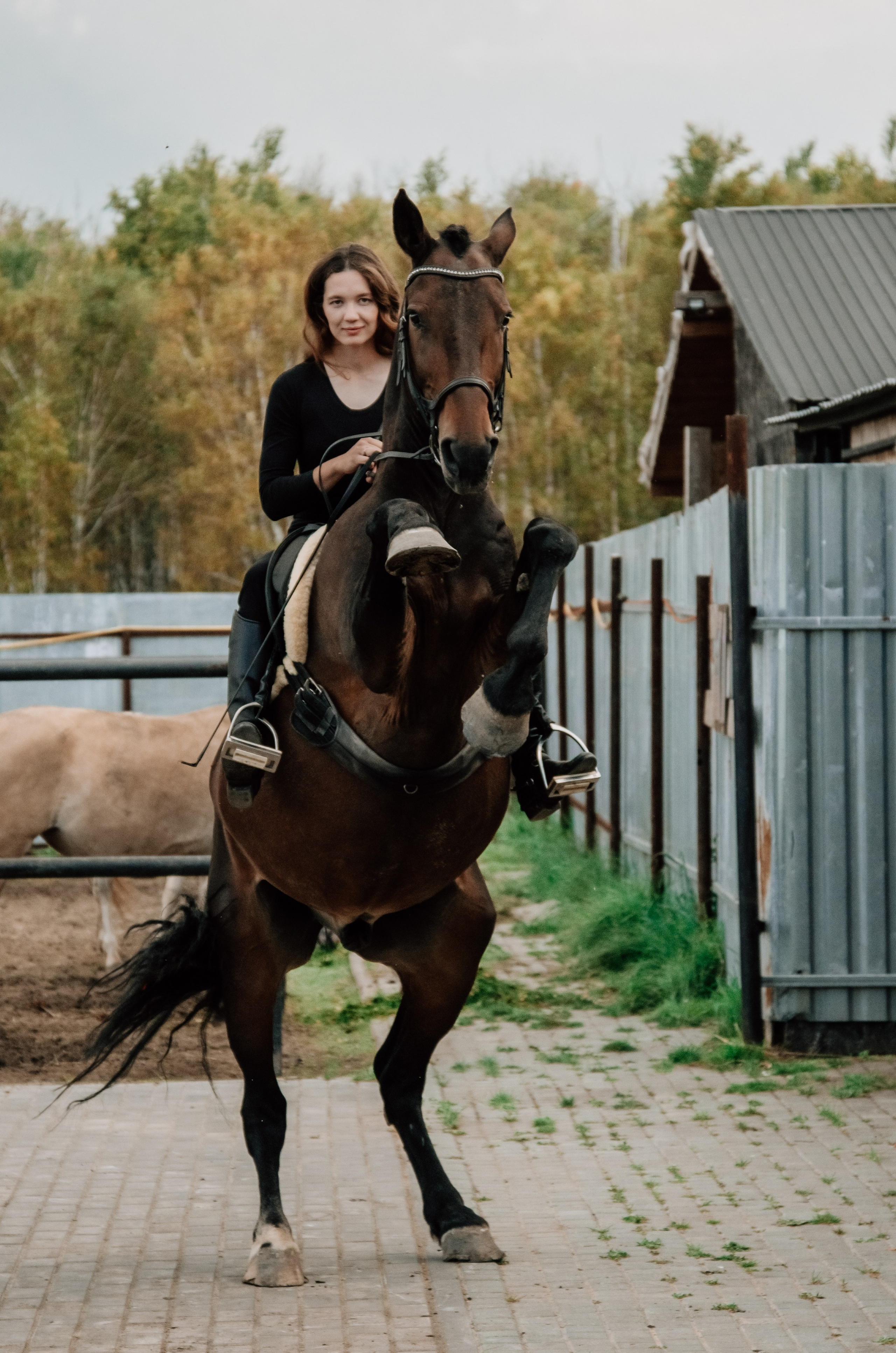 Дом-музей лошадей Хуторъ. Фотографы в Тюмени Андрей и Лидия Войвод