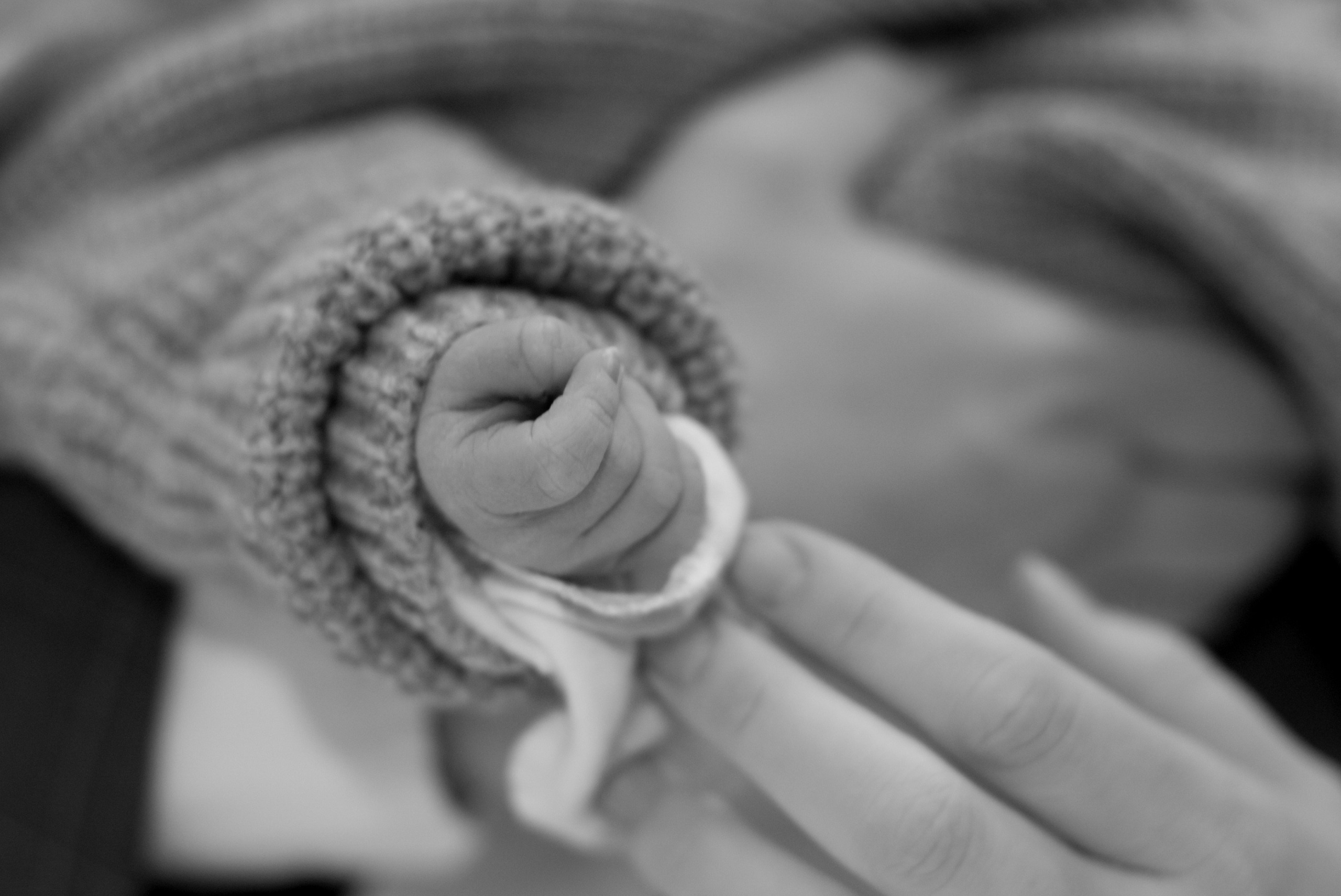 Выписка «Лапино»