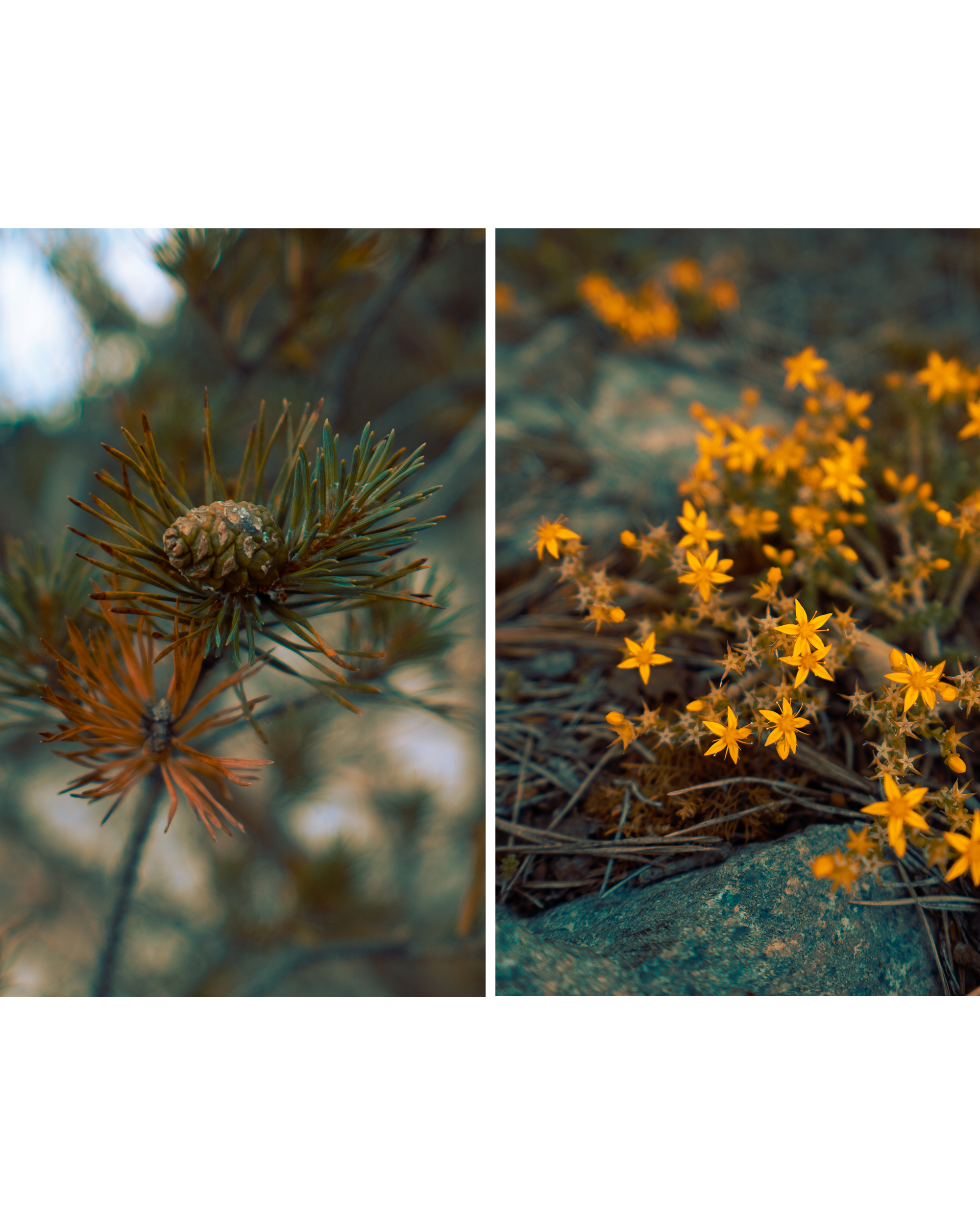 Рускеала. Фотограф Алиса Аспер