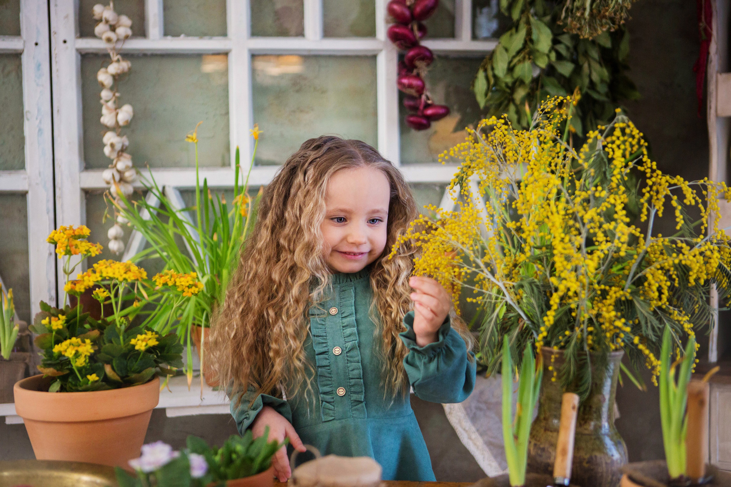 «Мимоза». студия «Авторская». Свадебный семейный и детский фотограф в Краснодаре Карина Федоровская