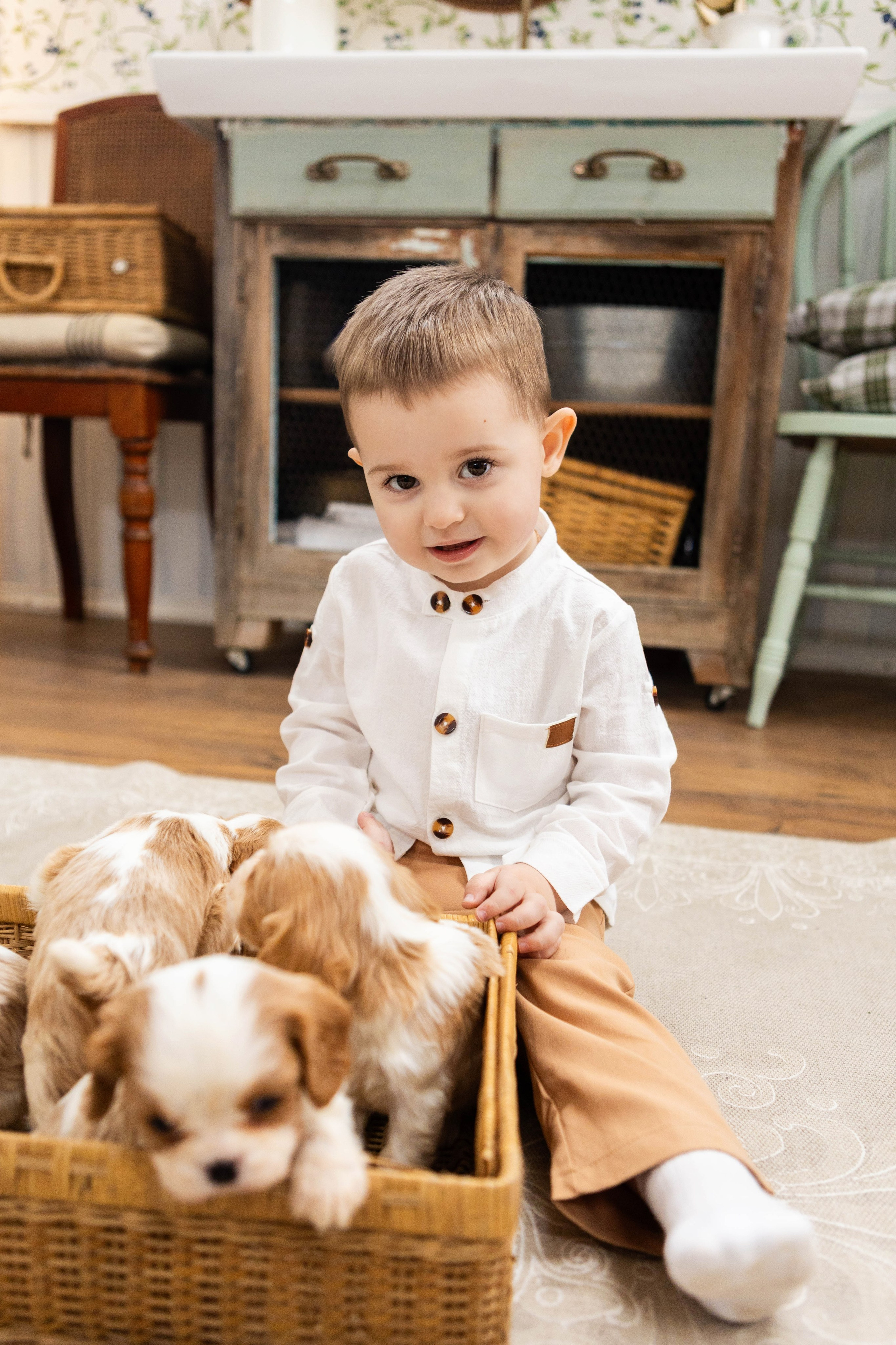 Фотосессия со щенками кавалер кинг чарльз спаниэль. Свадебный семейный и детский фотограф в Краснодаре Карина Федоровская