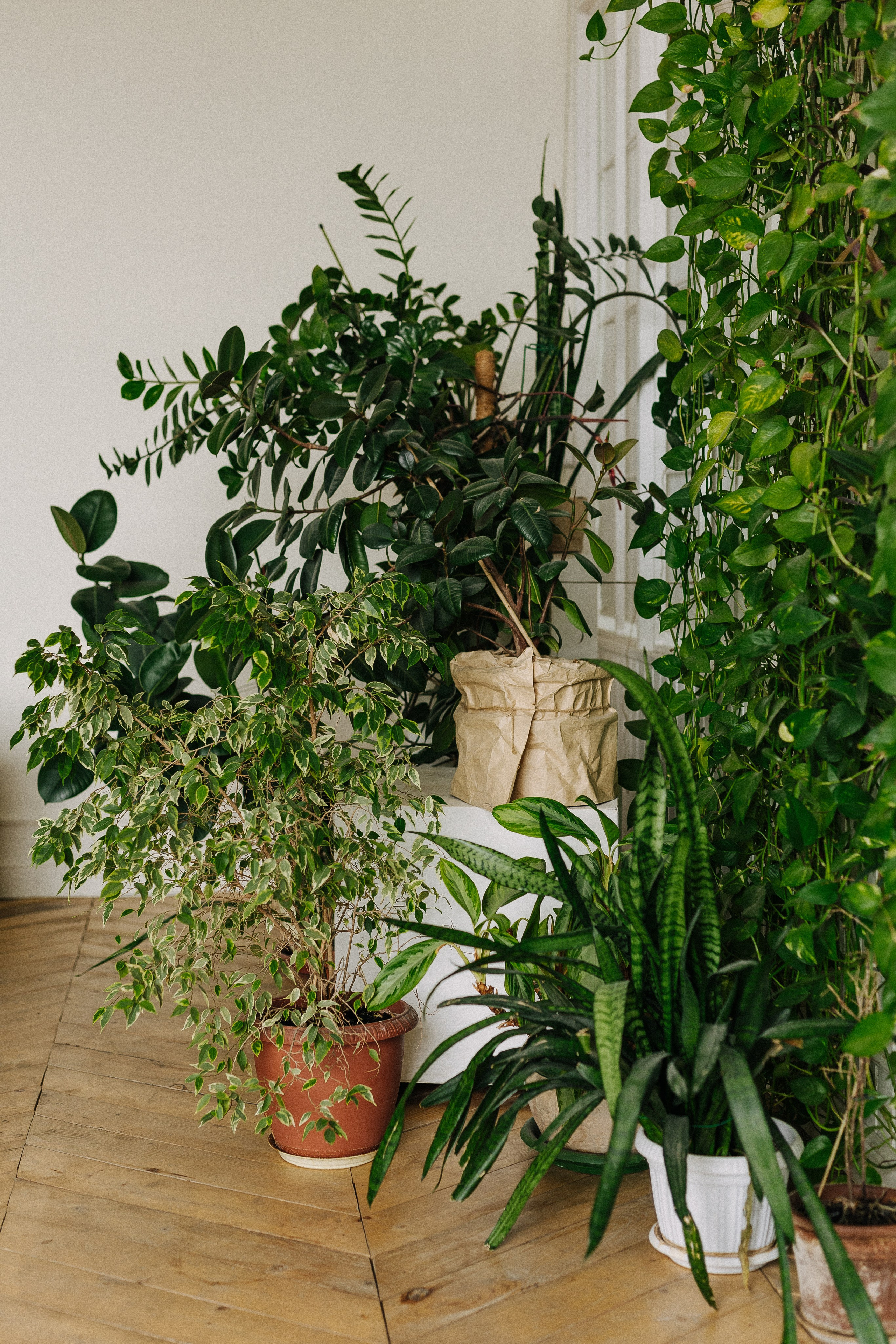 Дача-лофт, Дача. Свадебный семейный и детский фотограф в Краснодаре Карина Федоровская